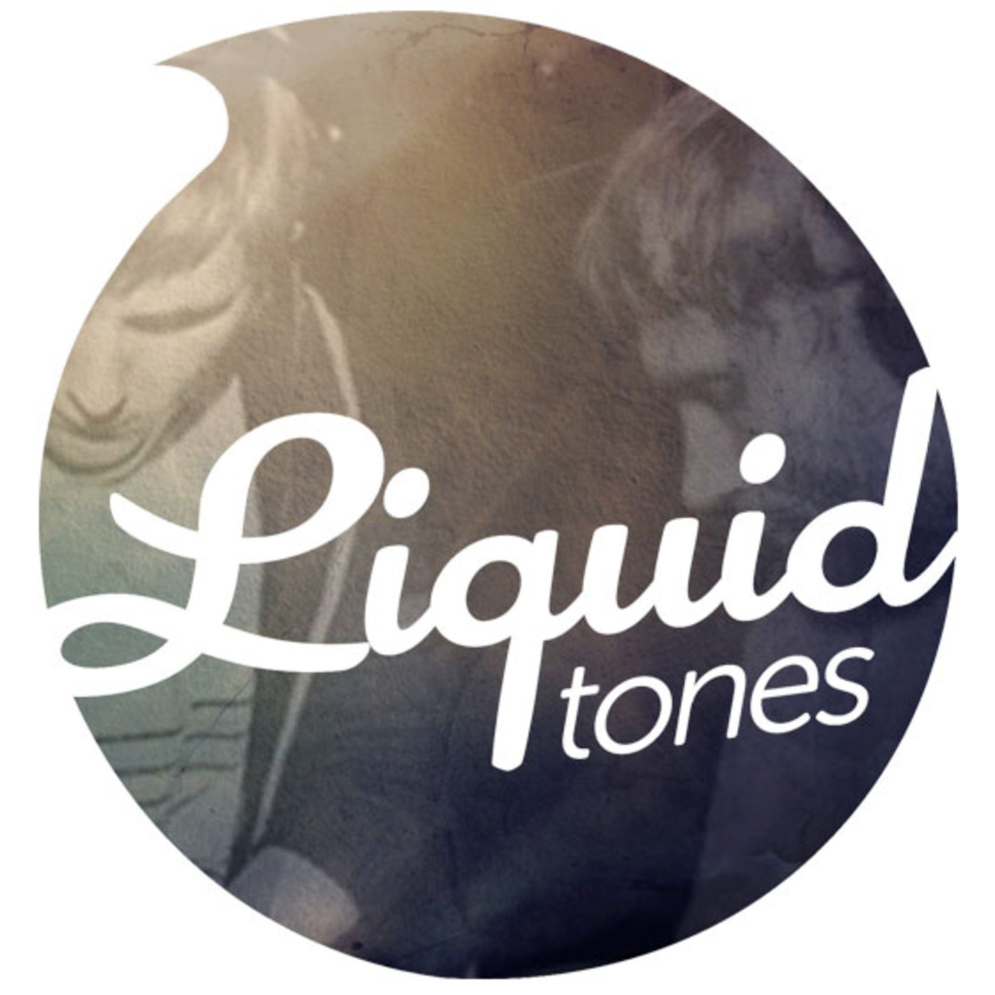 The Liquid Tones Podcast with Tim Cant & ParaDigm [Episode 4]