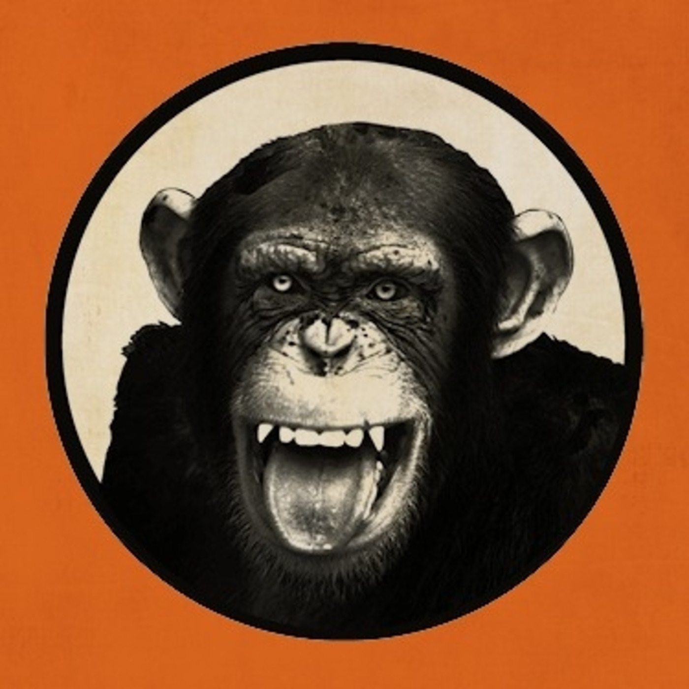 Episode 131: Weltturbojugendtage 19 Preview: The bands, The Festival, The Mayhem!