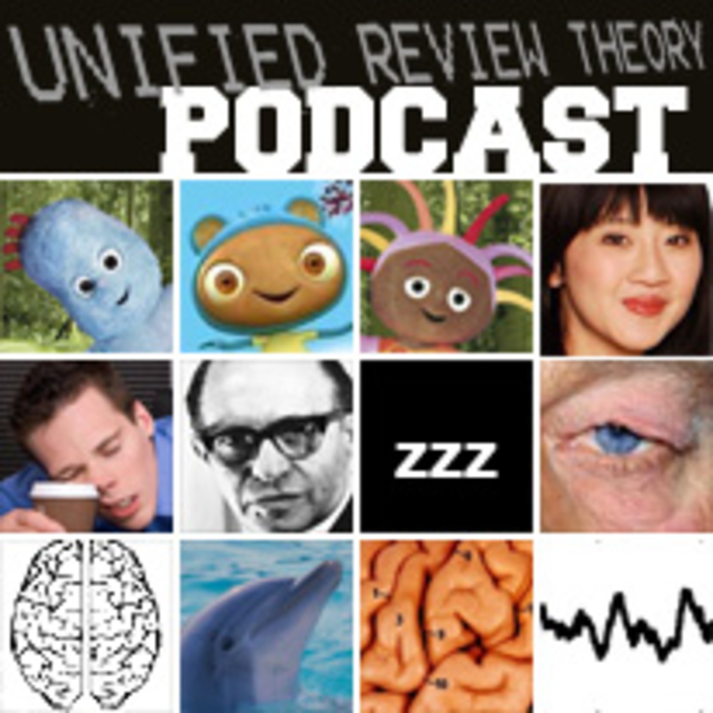 Unified Review Theory