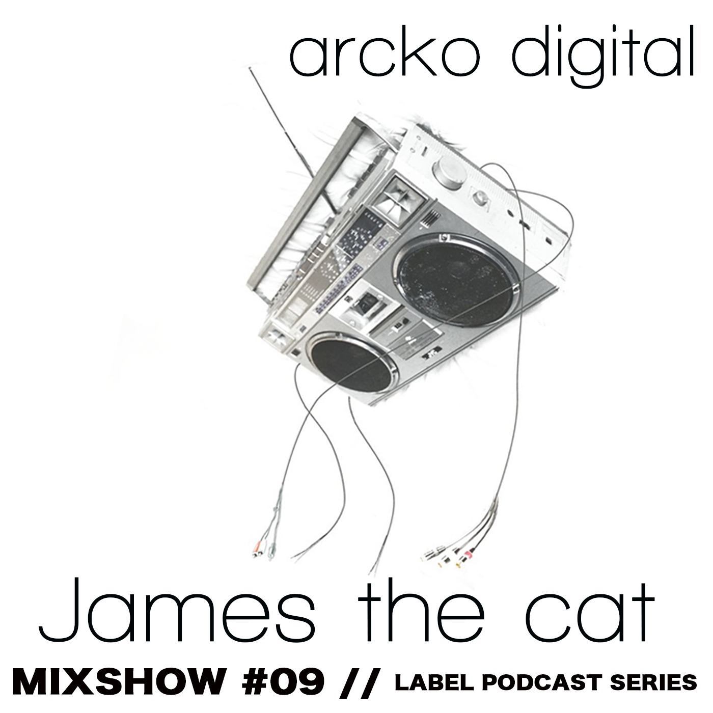 Arcko Digital Podcast Series #09 - James the Cat