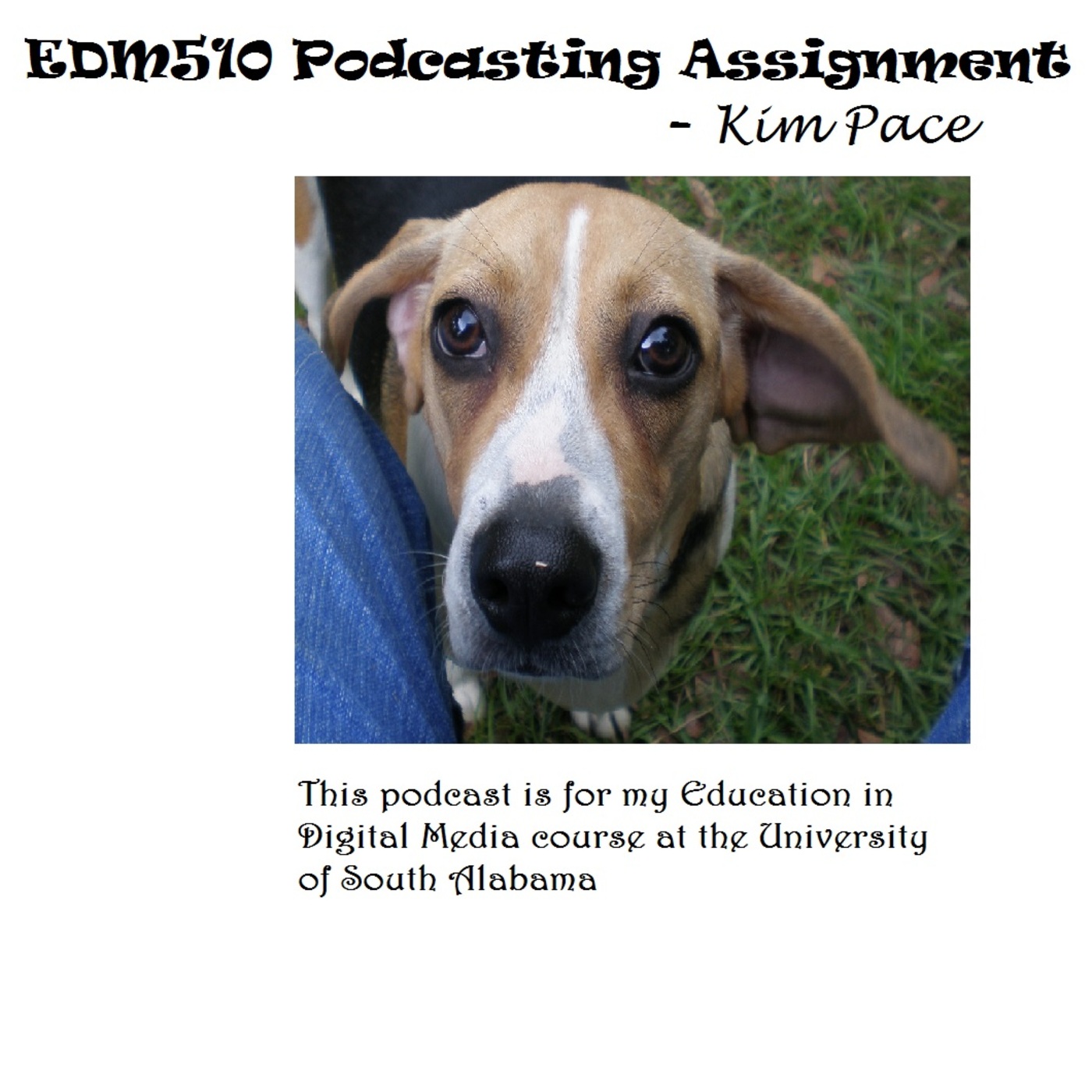 itunes pic
