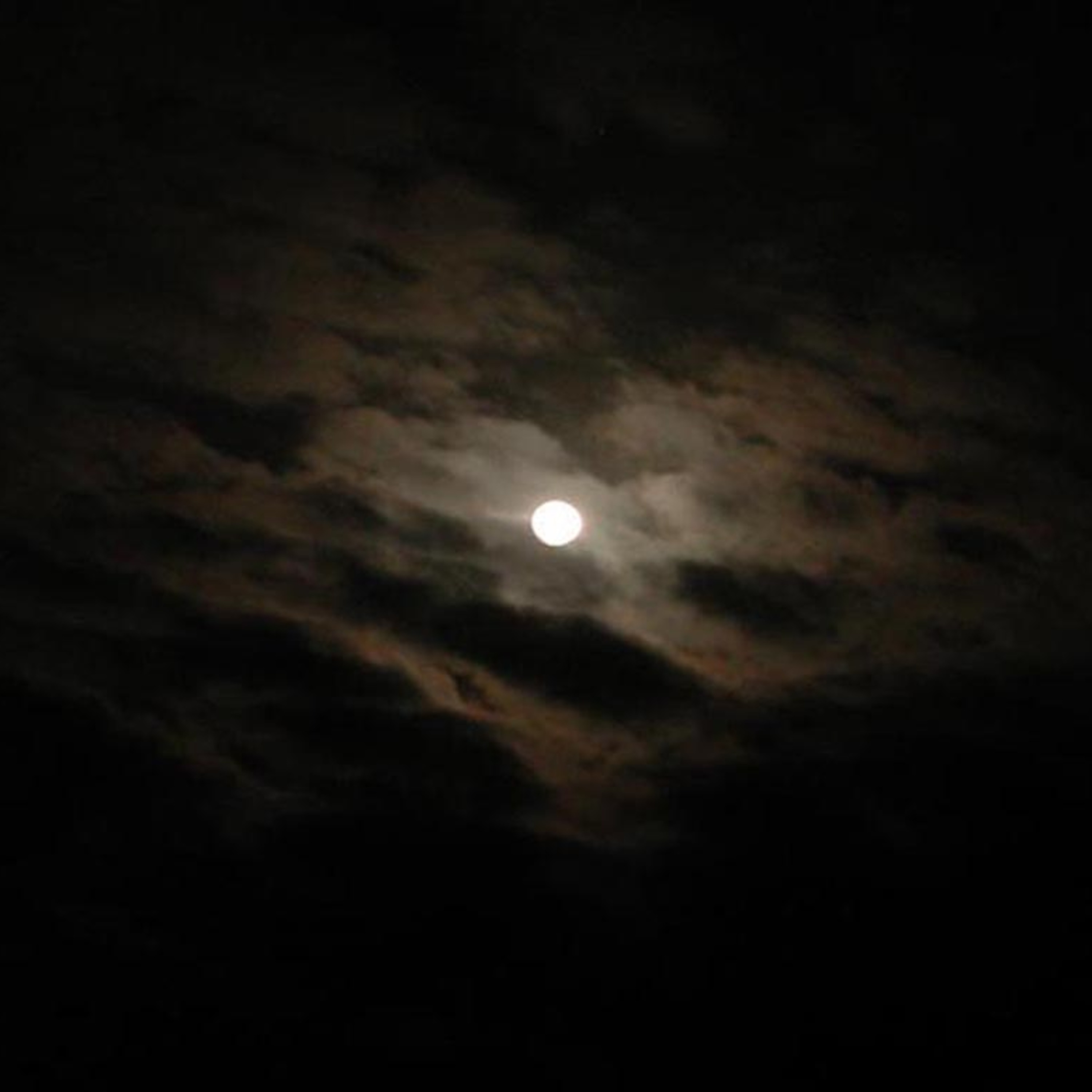 The Haunted Noctuary