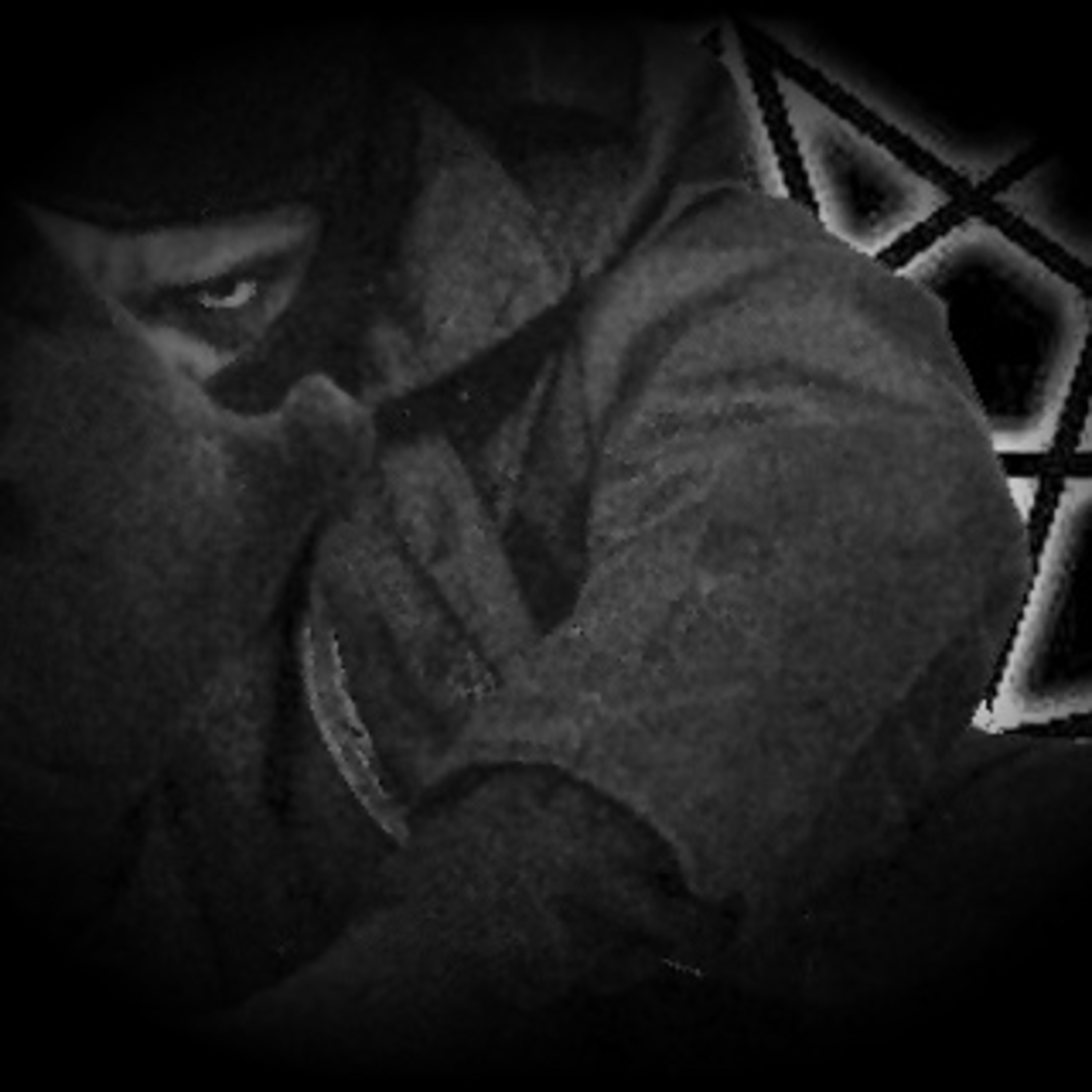 The Haunted Noctuary