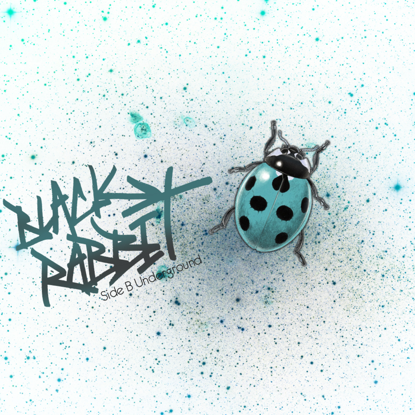Summer Set 2013 by Black-Rabbit aka Musta Kani