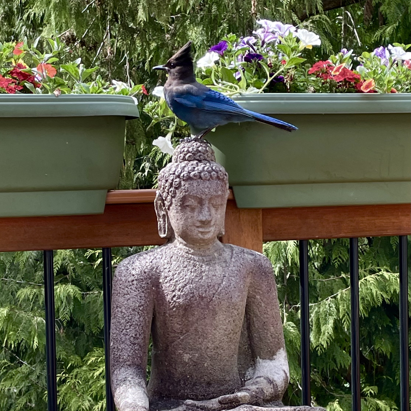 DJDrZen\'s Music Box & Travelogue