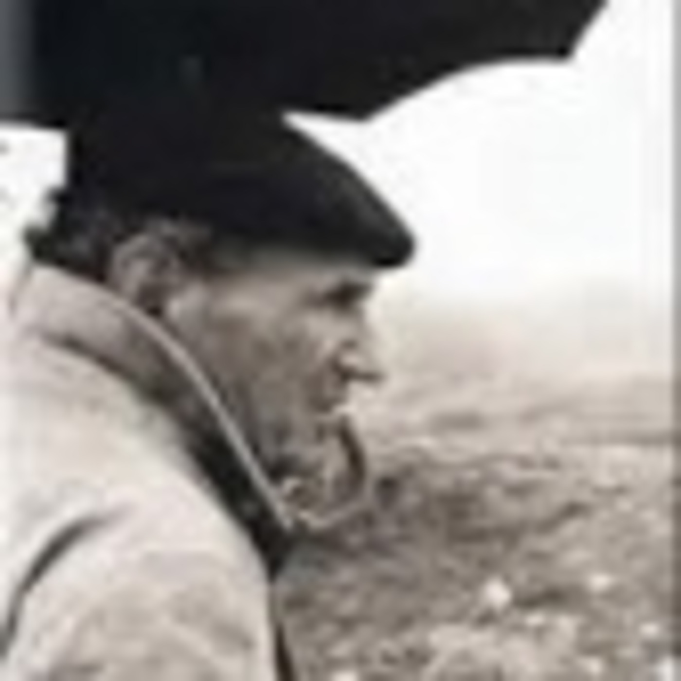 Em Discurso Direto II