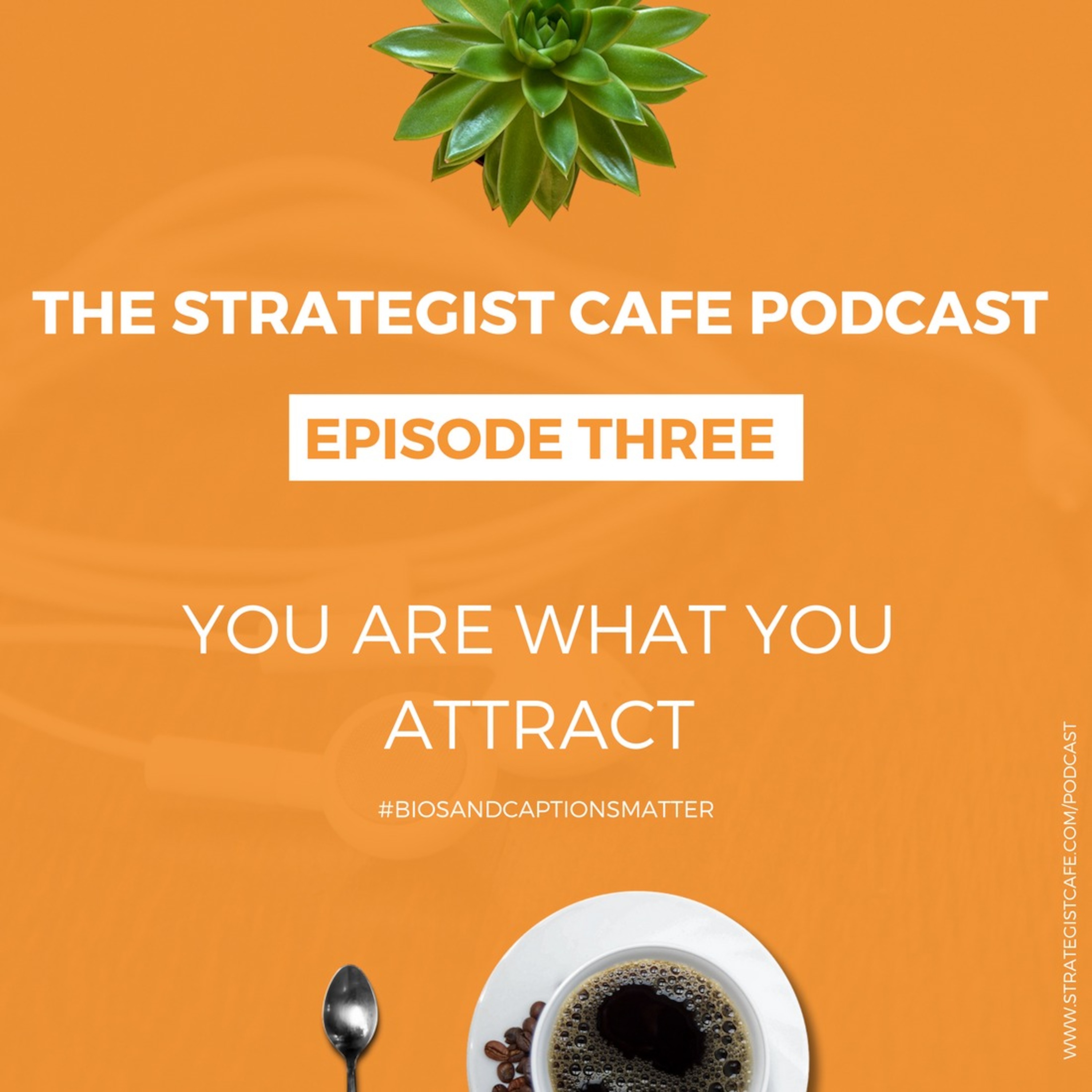 You Are What You Attract #BiosAndCaptionsMatter episode artwork