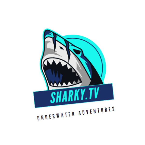 The Adventures of Sharky Sharky