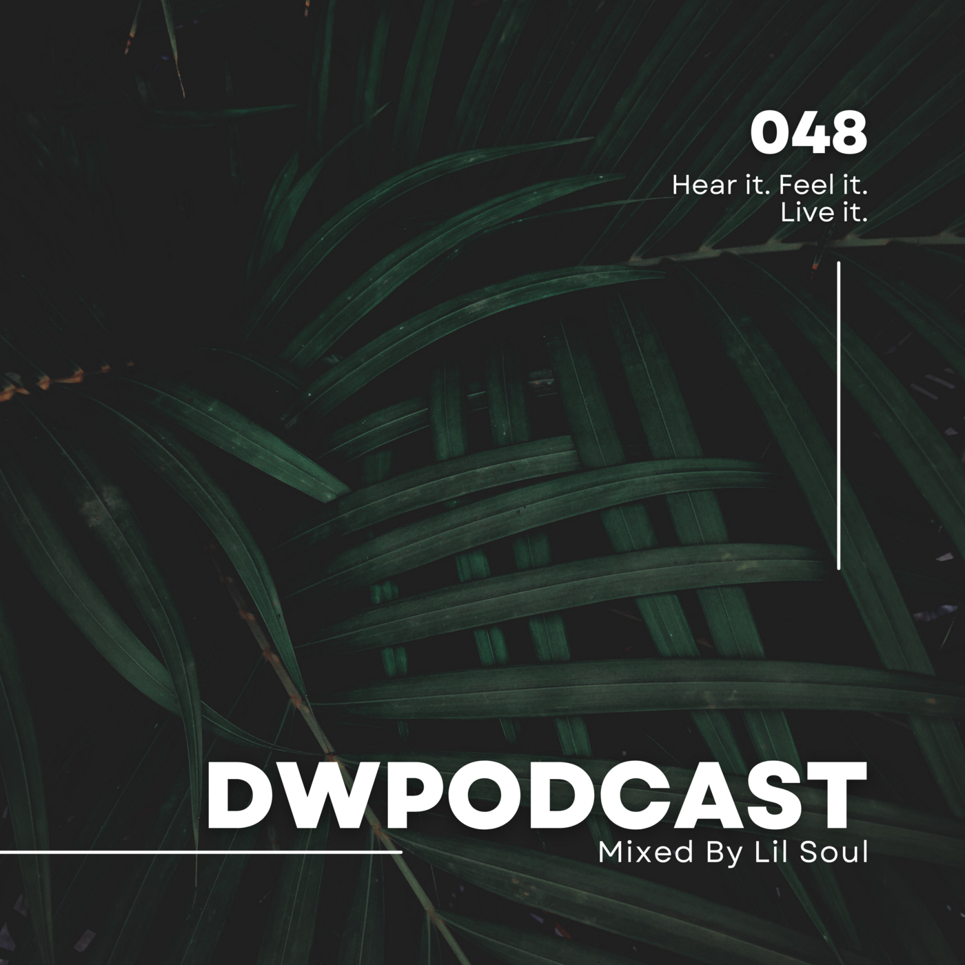 Episode 48: DWPodcast 048 // Lil Soul