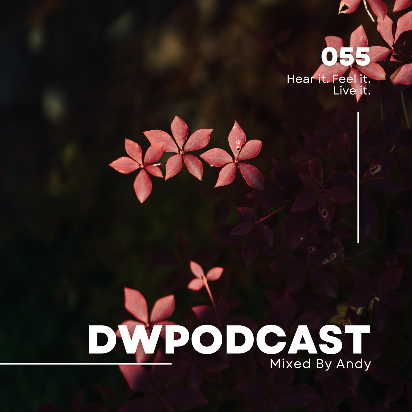 Episode 55: DWPodcast 055 // Andy