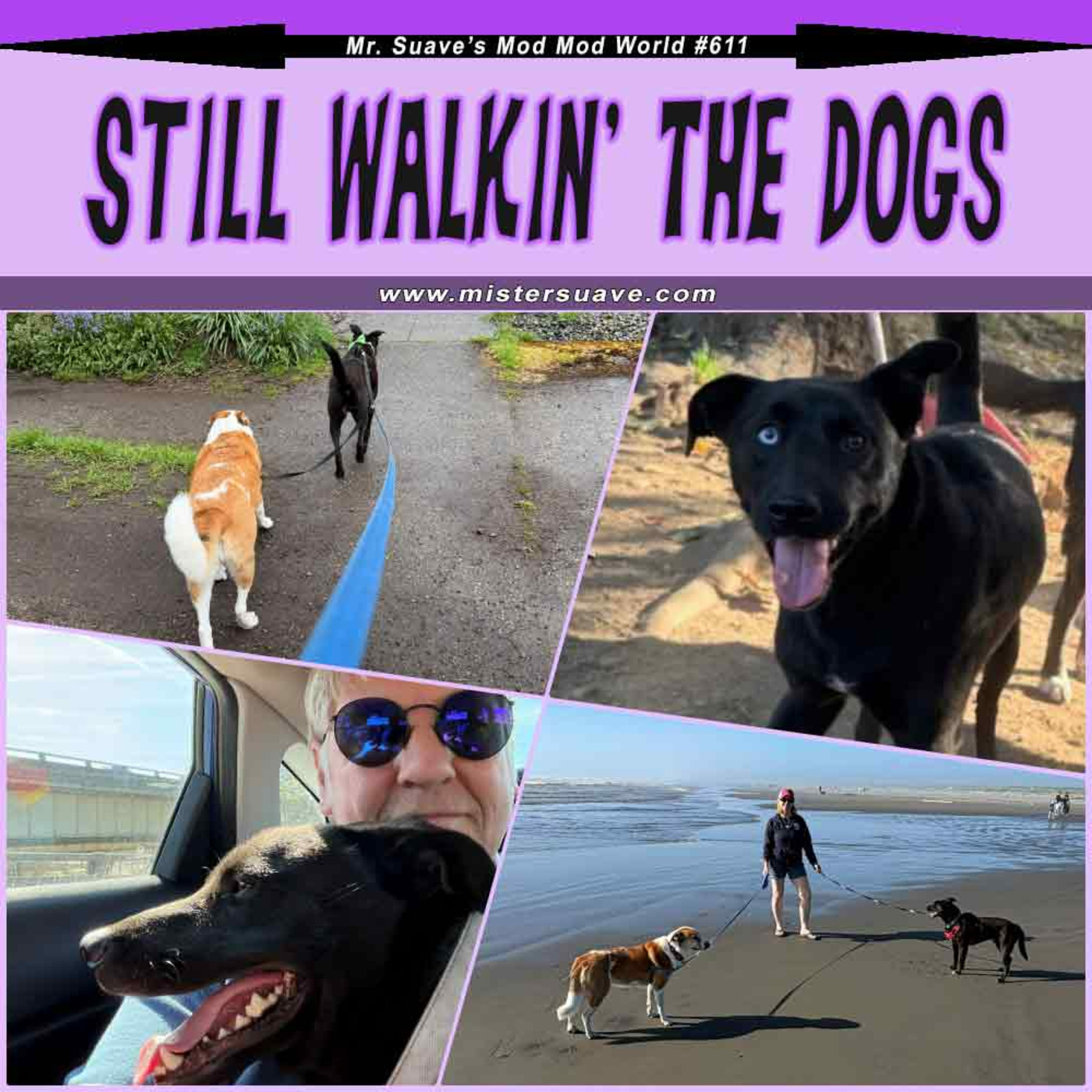 Episode 32767: Modcast #611: Still Walkin' The Dog