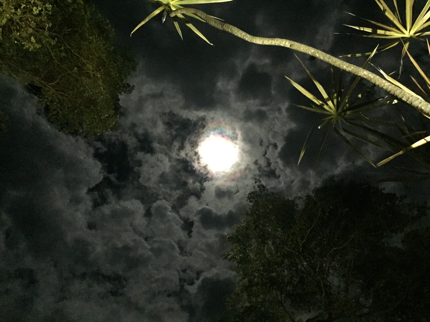 The Moon Dancer Yoga Nidra