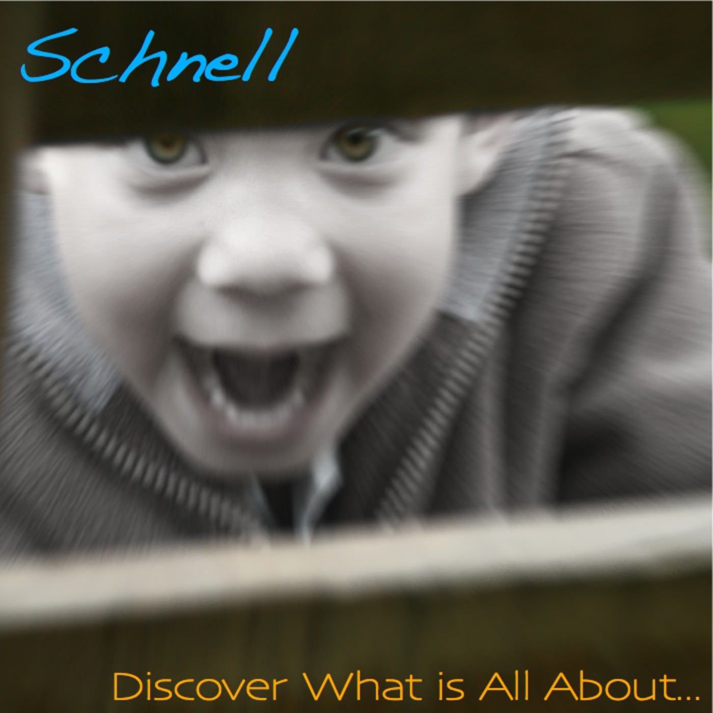 DJ Schnell's The Lazy Cat - Discover What is All About