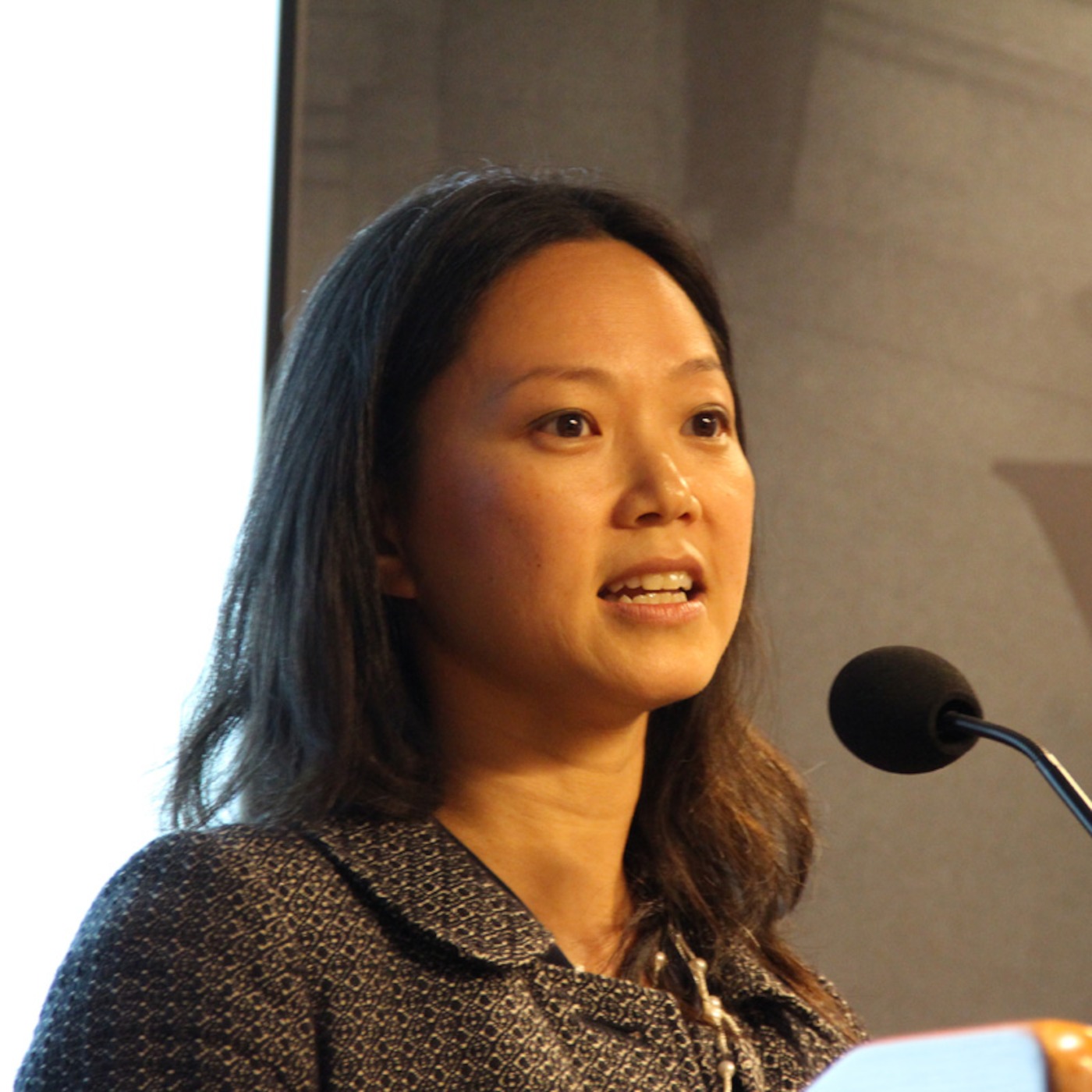 Doris Chou on Measuring Maternal Health in the SDG Era