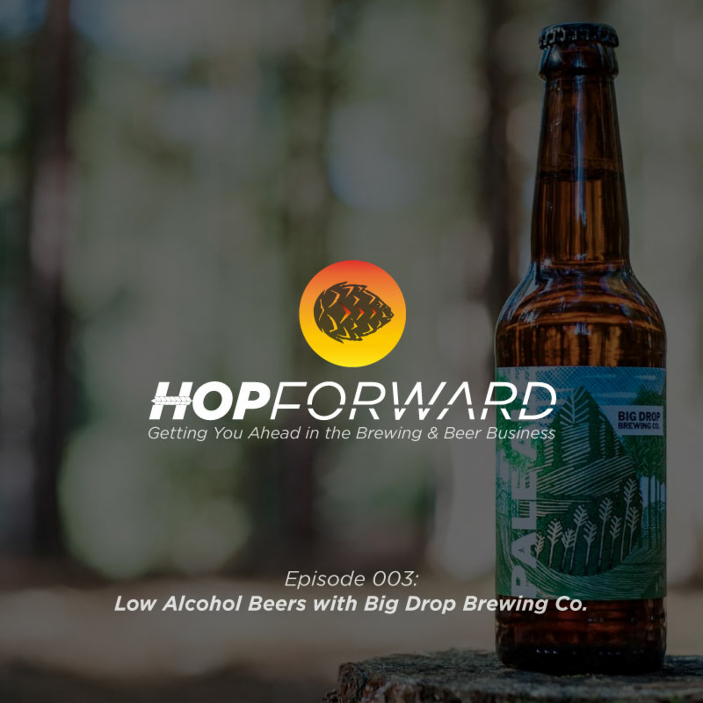 Low Alcohol Beers with Big Drop Brewing Co. [Interview with Johnny Clayton]