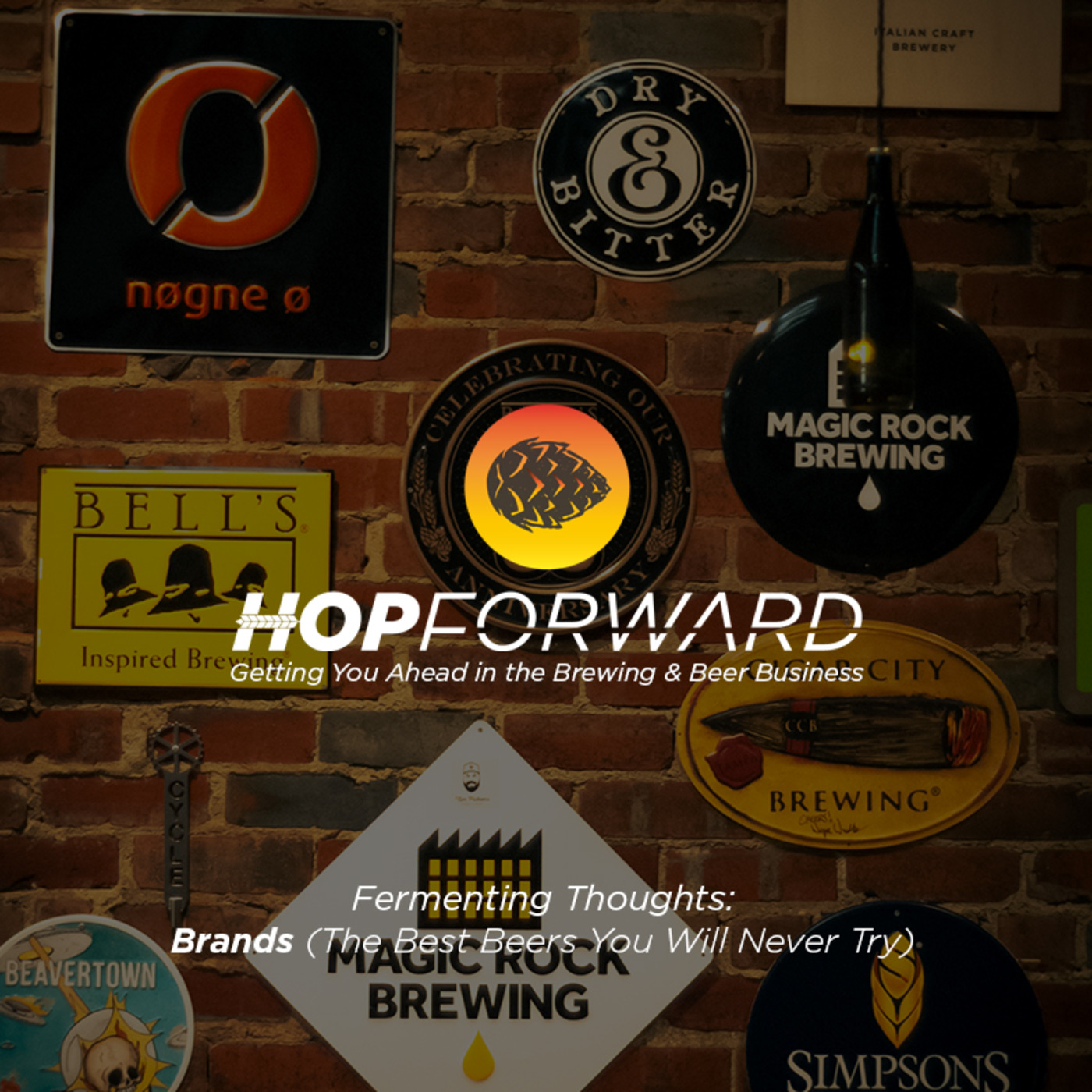 Fermenting Thoughts: The Best Beers You'll Never Try [Why Branding Is So Important!]