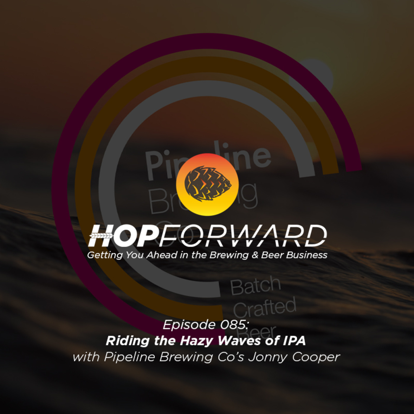 Hop Forward: Getting You Ahead in the Brewing and Beer Business