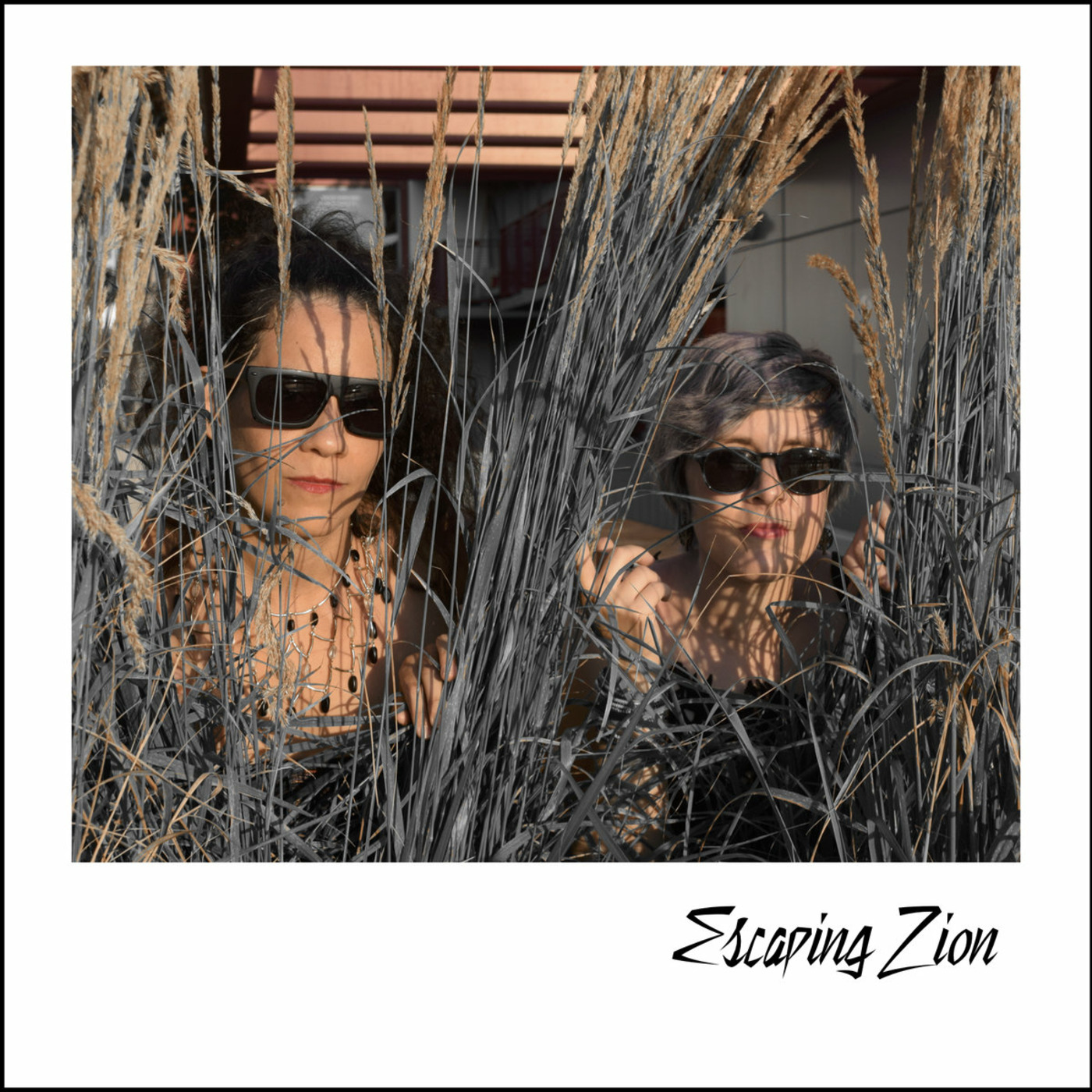 Nehedar - 'Escaping Zion' Review