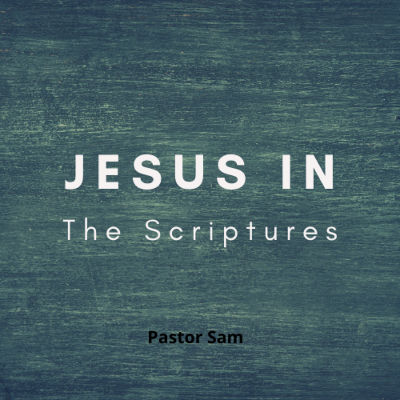 Episode 8: Jesus in the Scriptures episode artwork