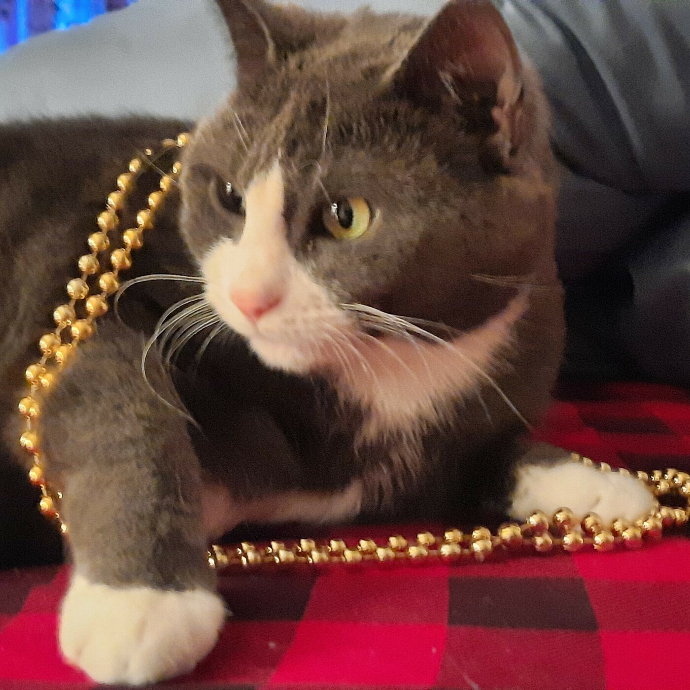 Pete Sayek\'s Podcast