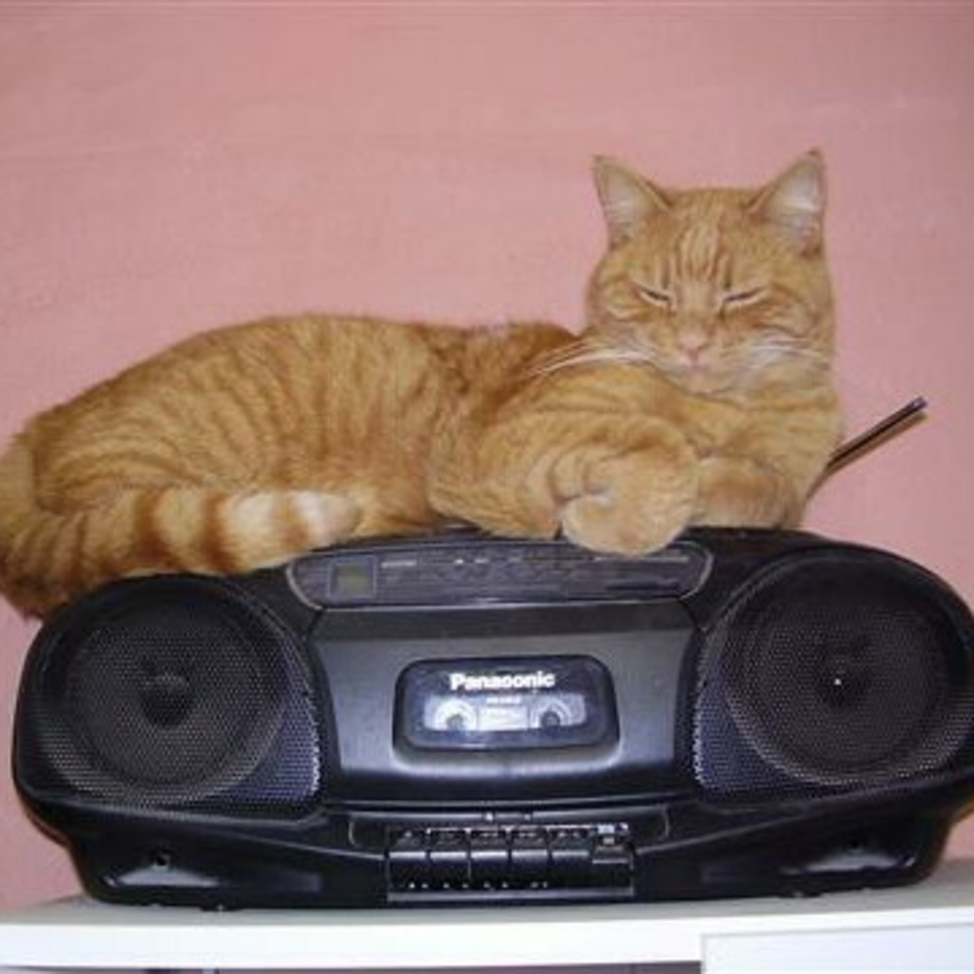 Episode 229: The Pete Sayek Program - August 13, 2025