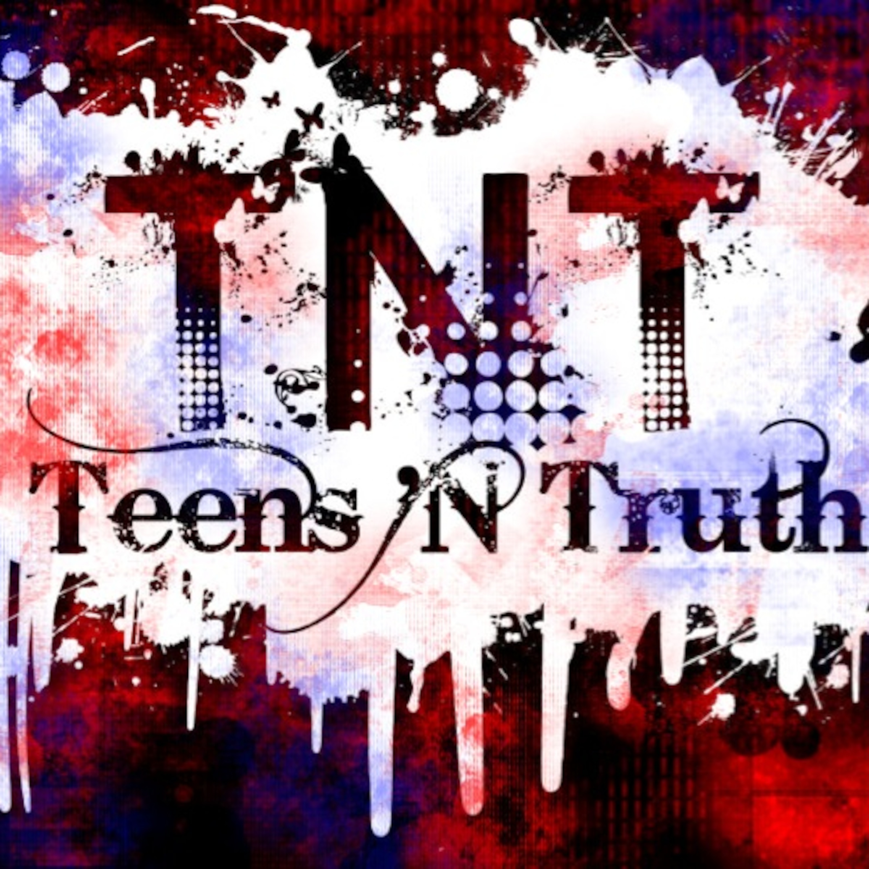 17 Memory Verses 1-24-13 episode artwork