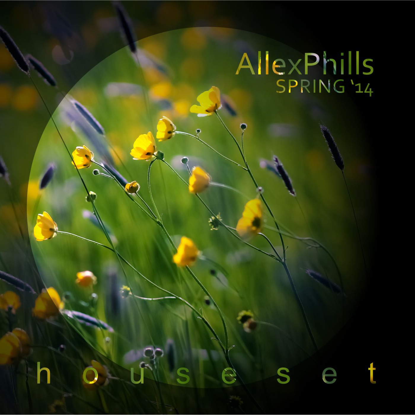 AllexPhills - Spring '14 Track List (House Set)