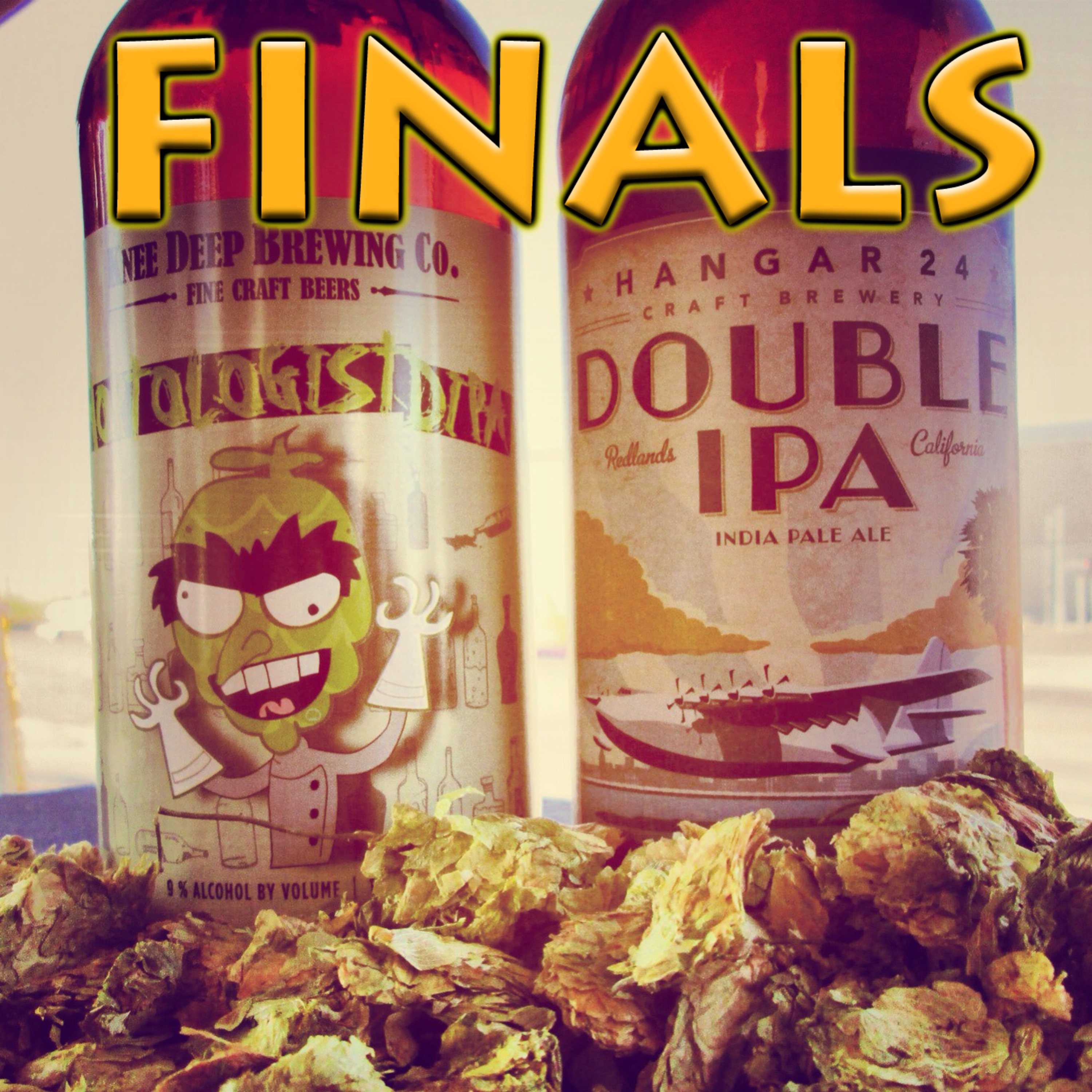 IPA Tournament 2013 Finals episode artwork