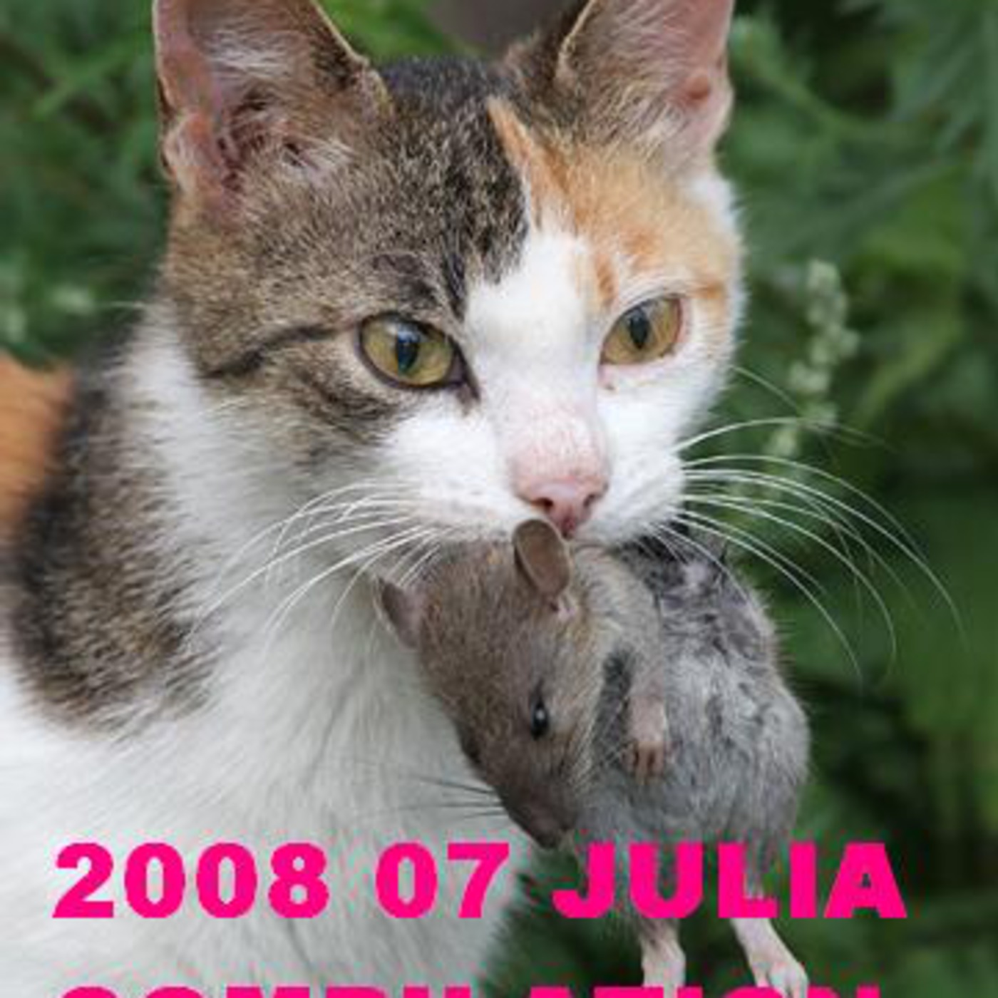 2008 07 Jiulia Compilation Vol 1 Promo