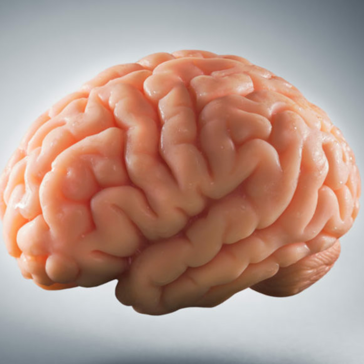 Episode 53: Covid-19 vaccine from Pfizer confirmed to cause brain damage, neurodegenerative disease episode artwork