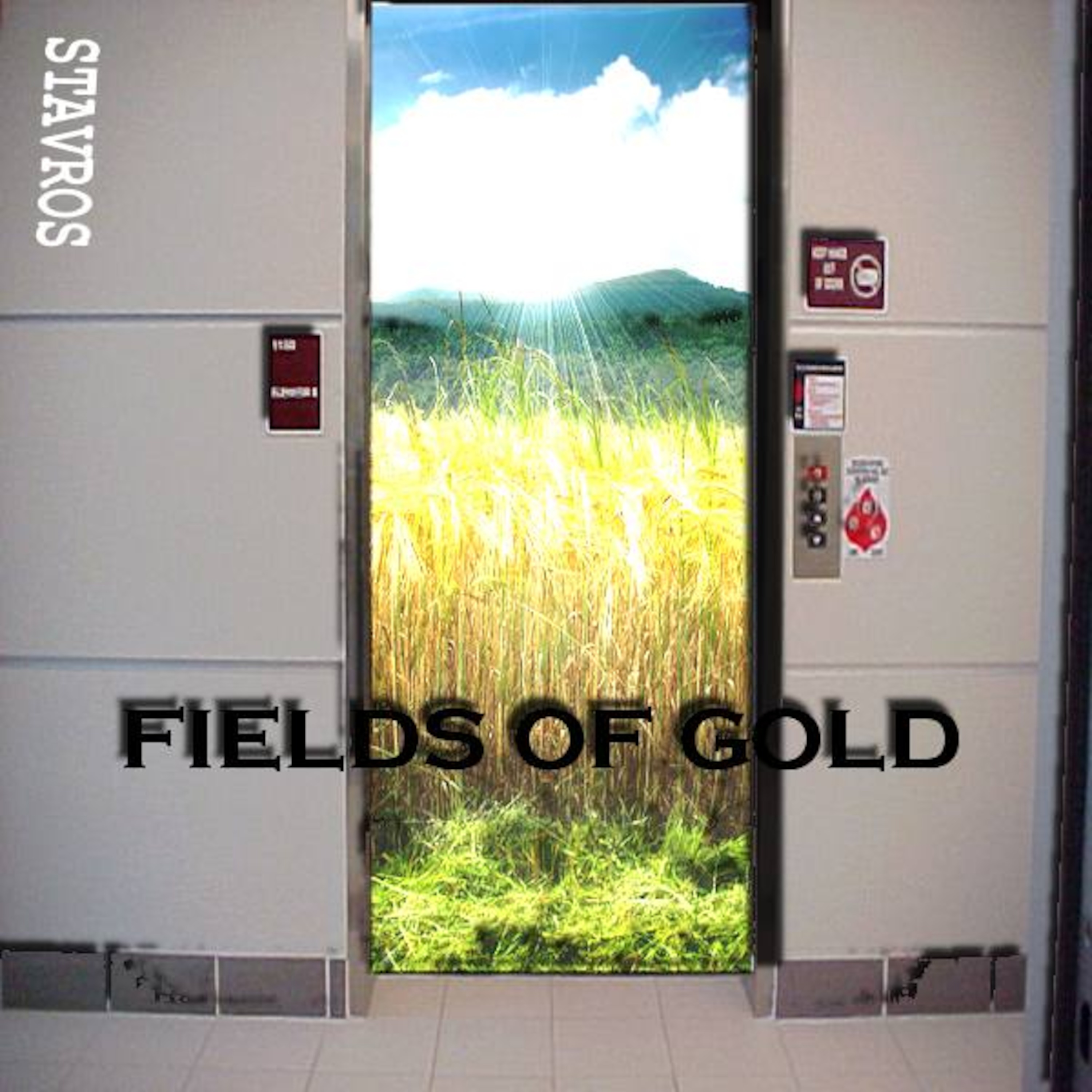 Fields of Gold episode artwork