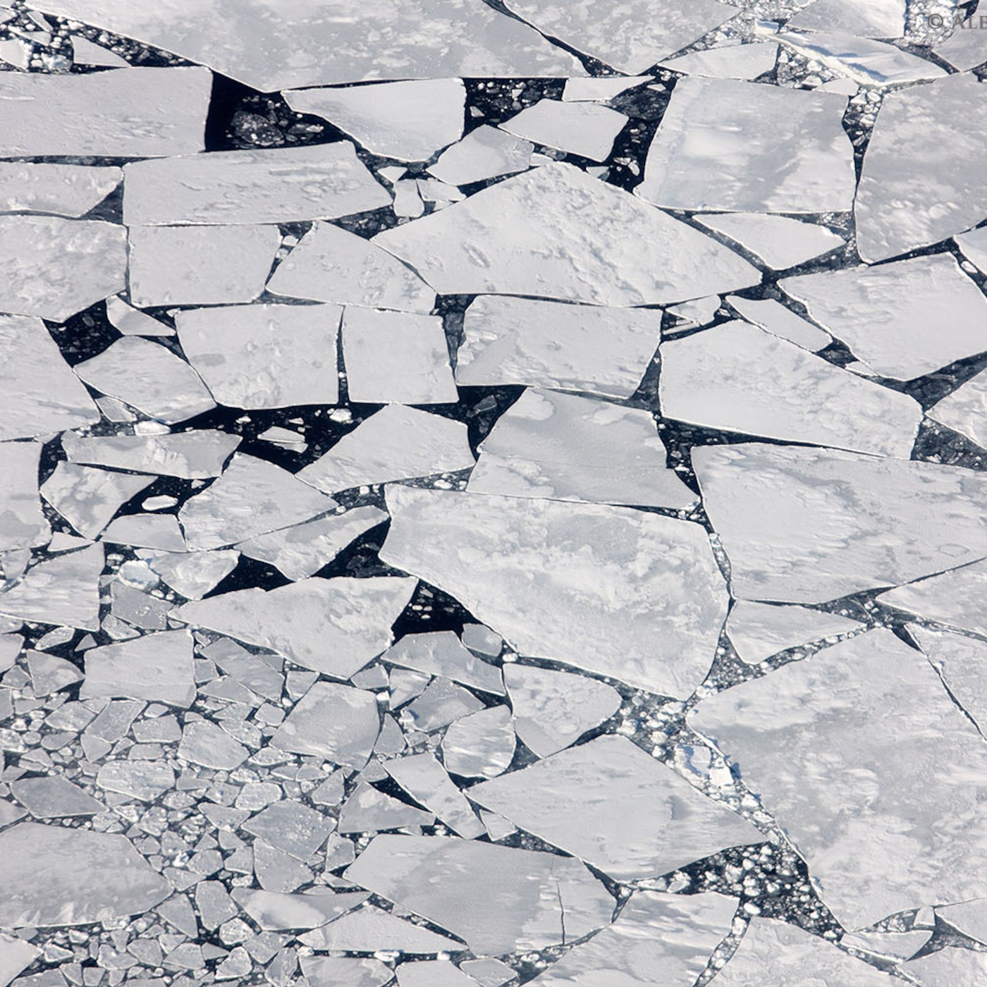 Thin Ice cover art