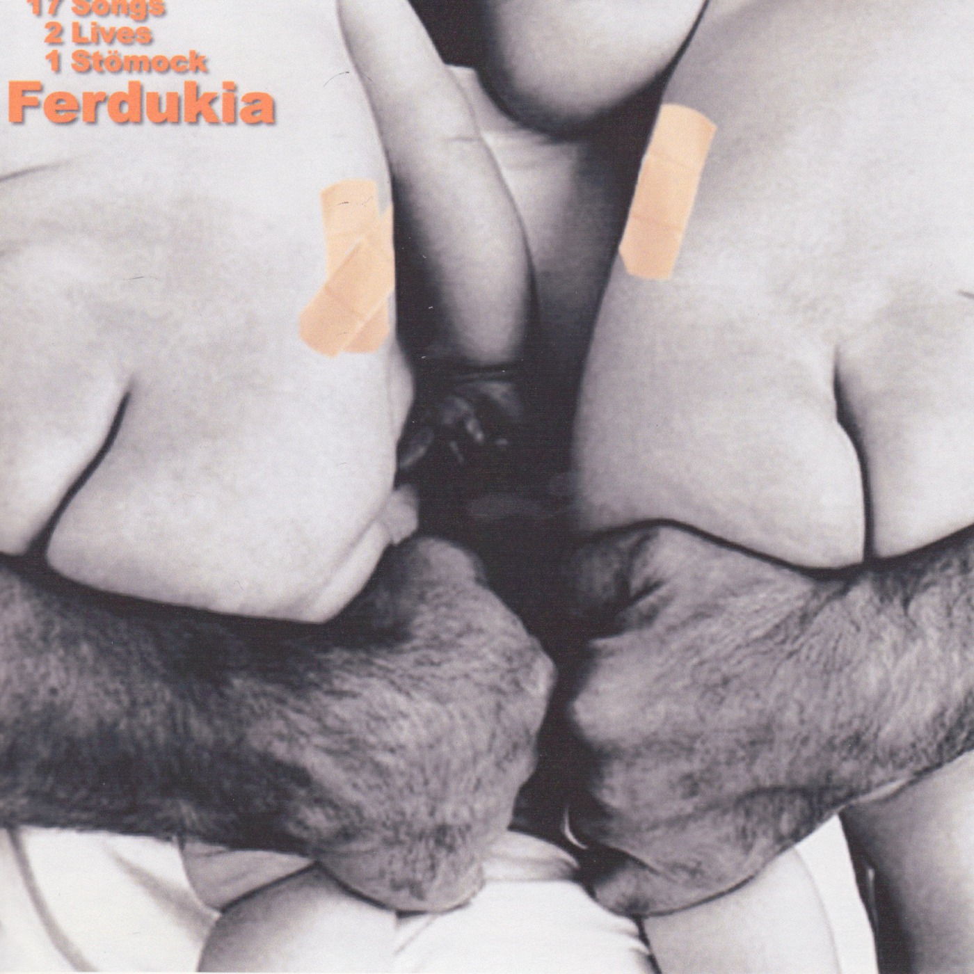 History of Stomock: Ferdukia I episode artwork