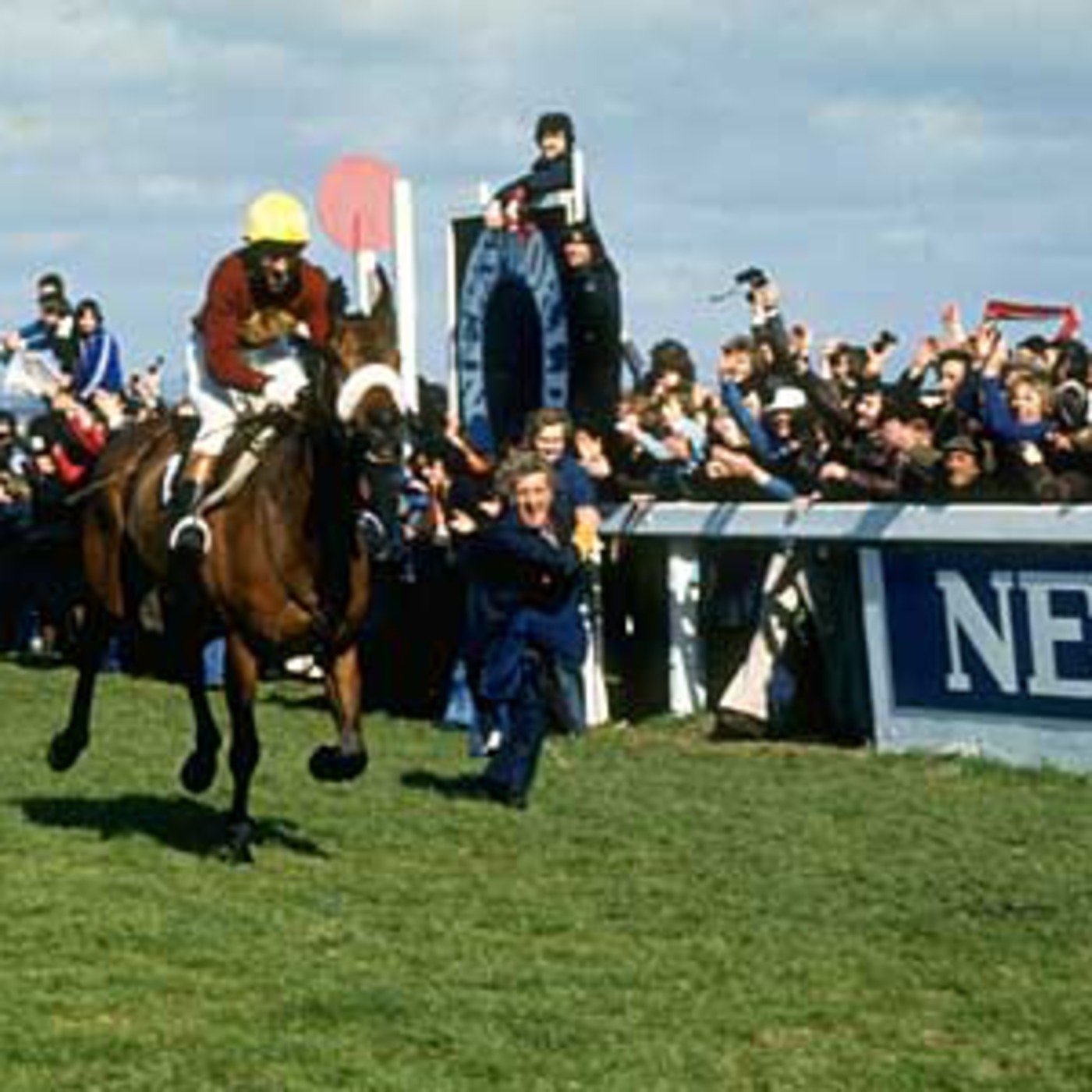 Scrapyard Grand National