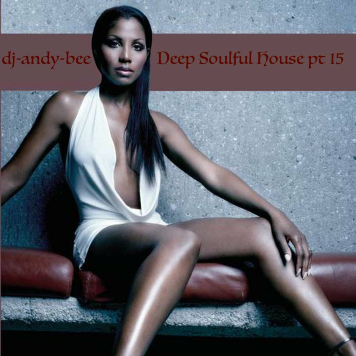 Deep Soulful House pt 15