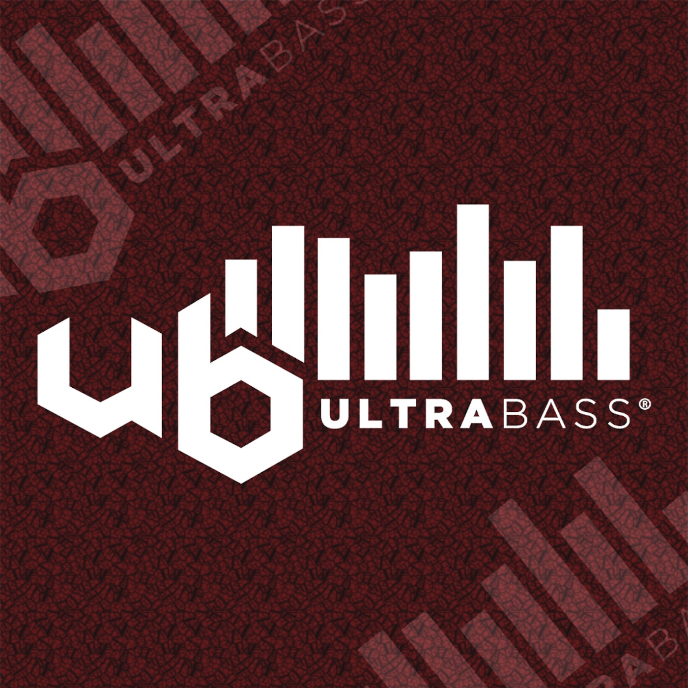 Ultra Bass Records Show