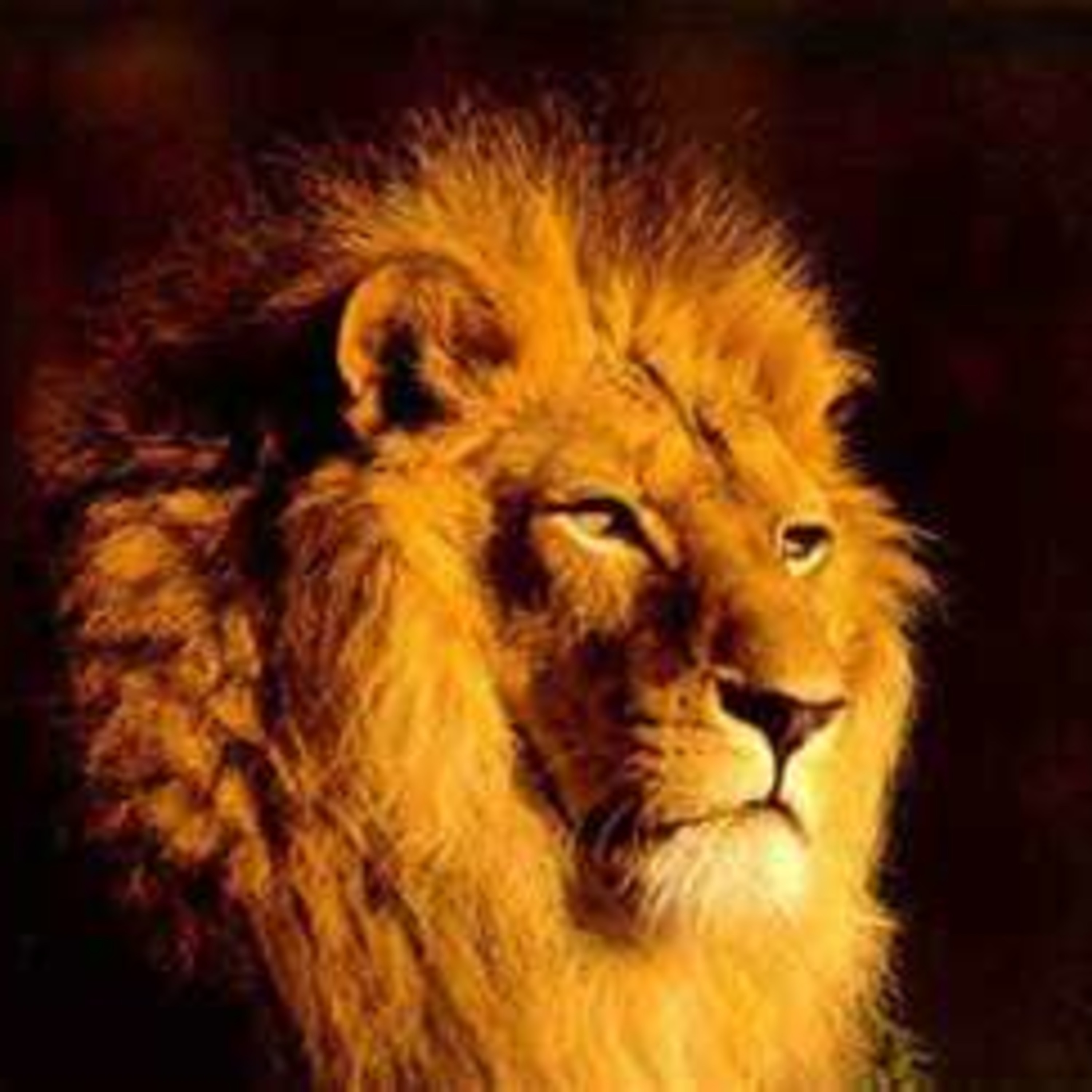 Spending time in His grace