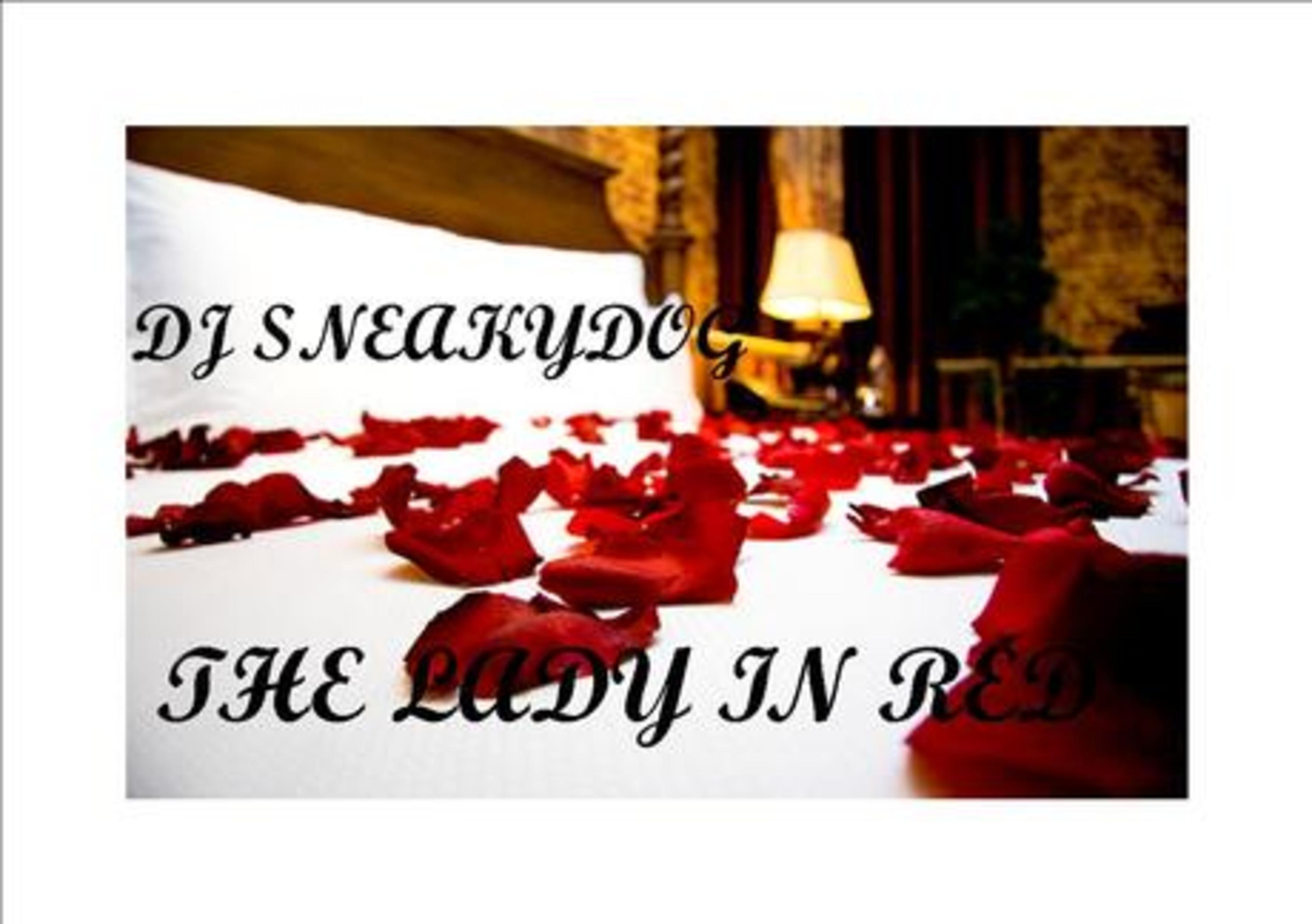 MR DJ SNEAKYDOG\'s Podcast