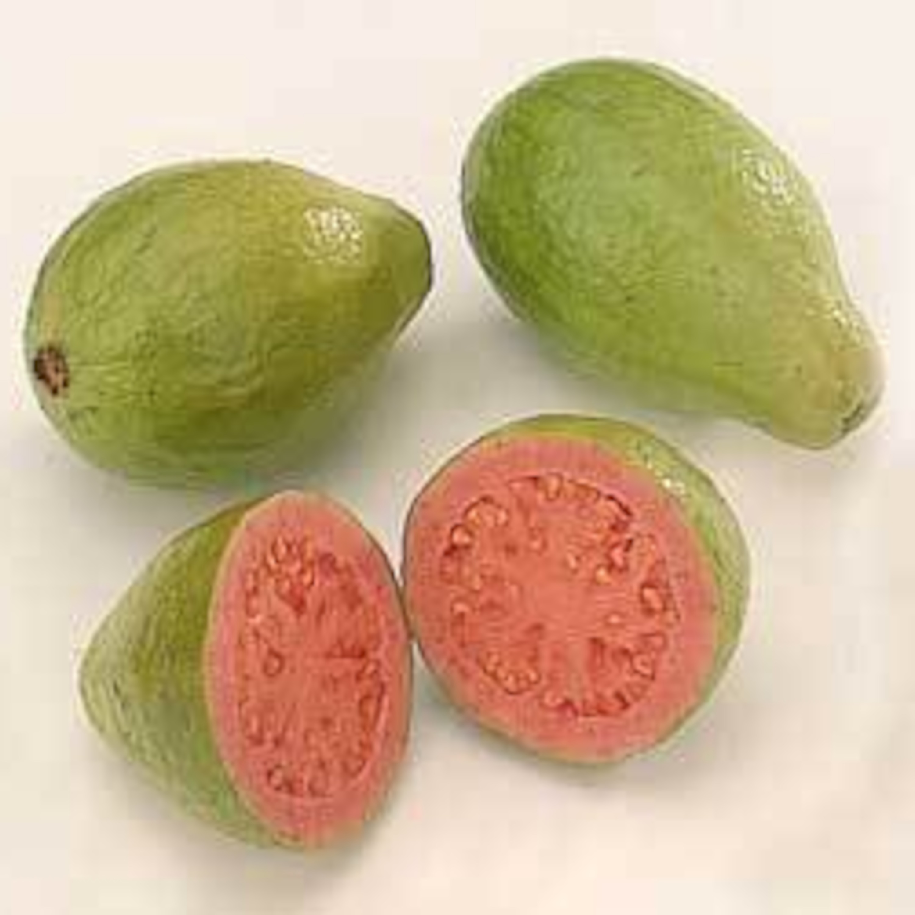 DE LA GUAYABA
