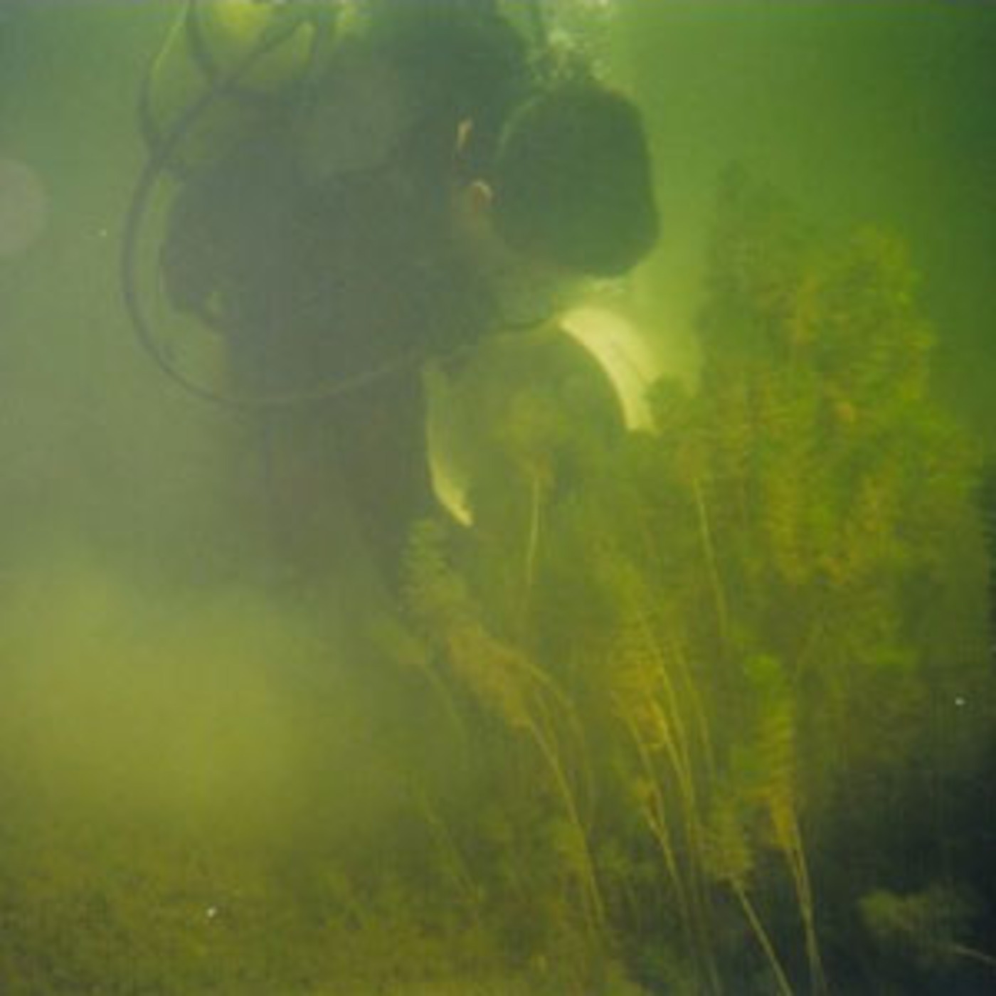 Lars Anderson, Aquatic Weed Specialist (Part 2) episode artwork