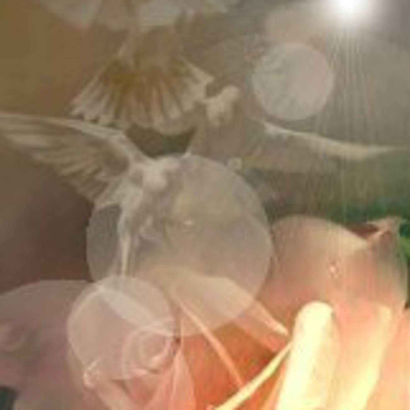 Do You Have What It Takes?