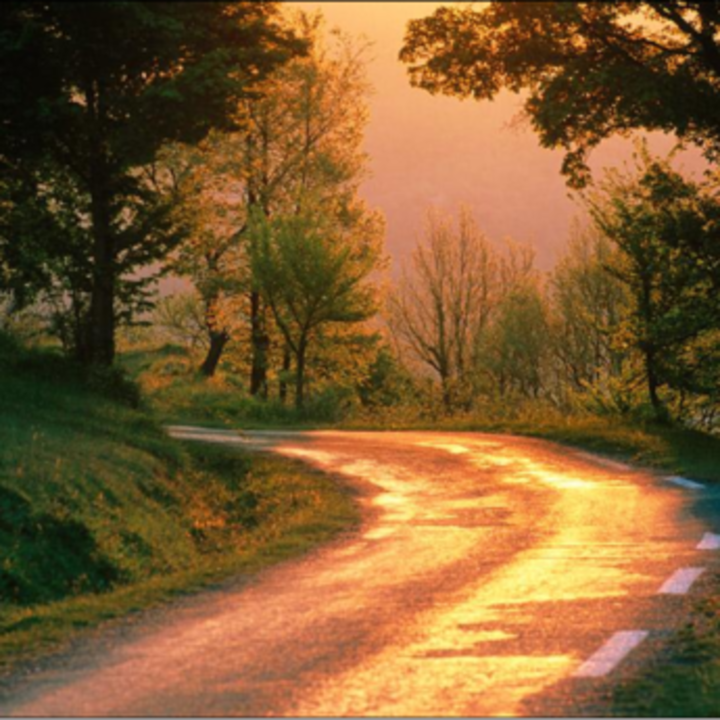 Being Led by the Holy Spirit