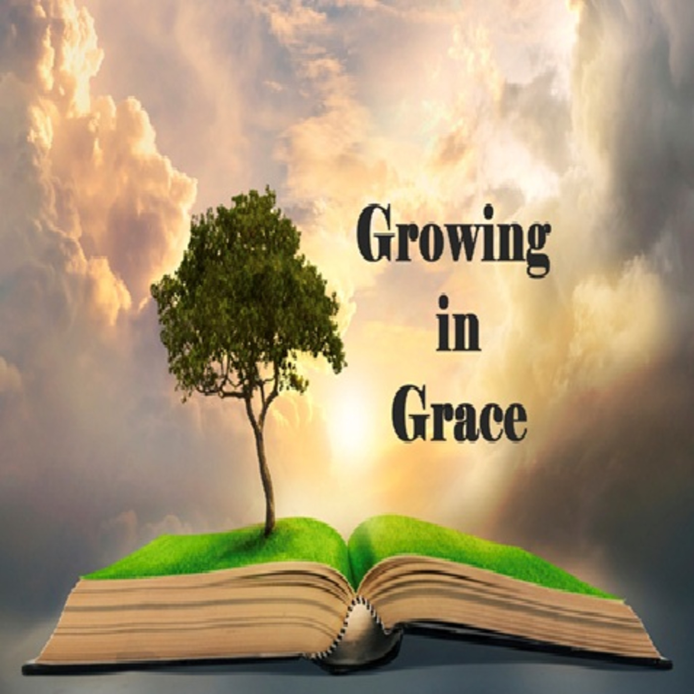Episode 550: Growing In Grace episode artwork