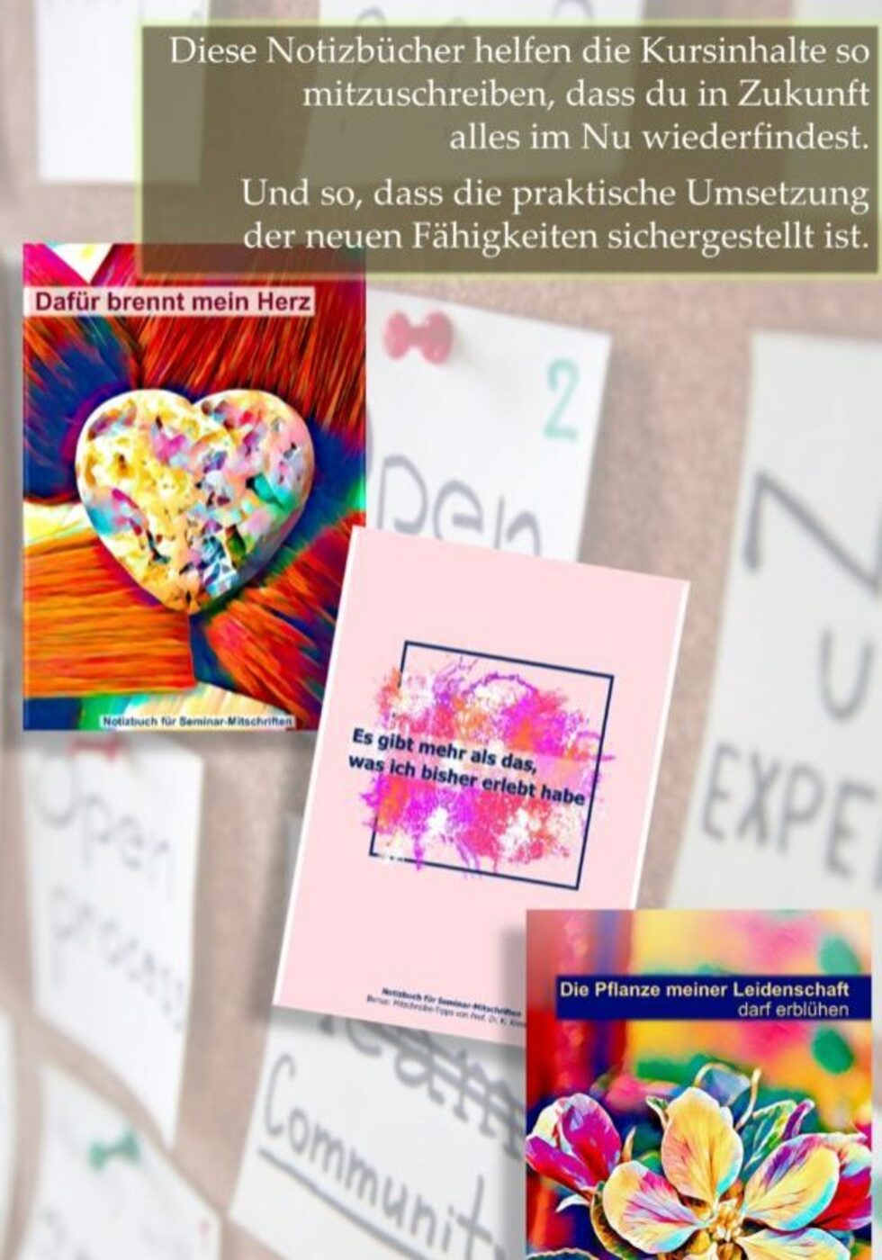 Studium mit Rückenwind