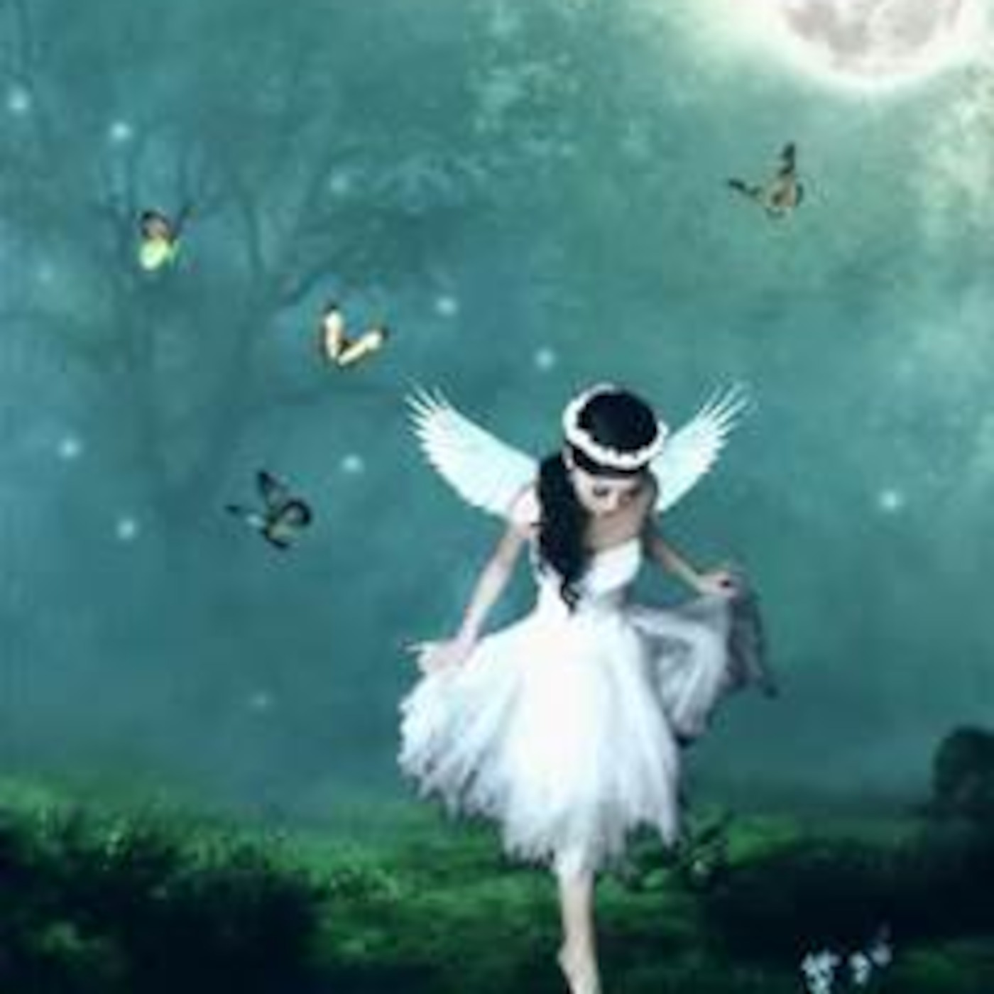 Fairy Tales
