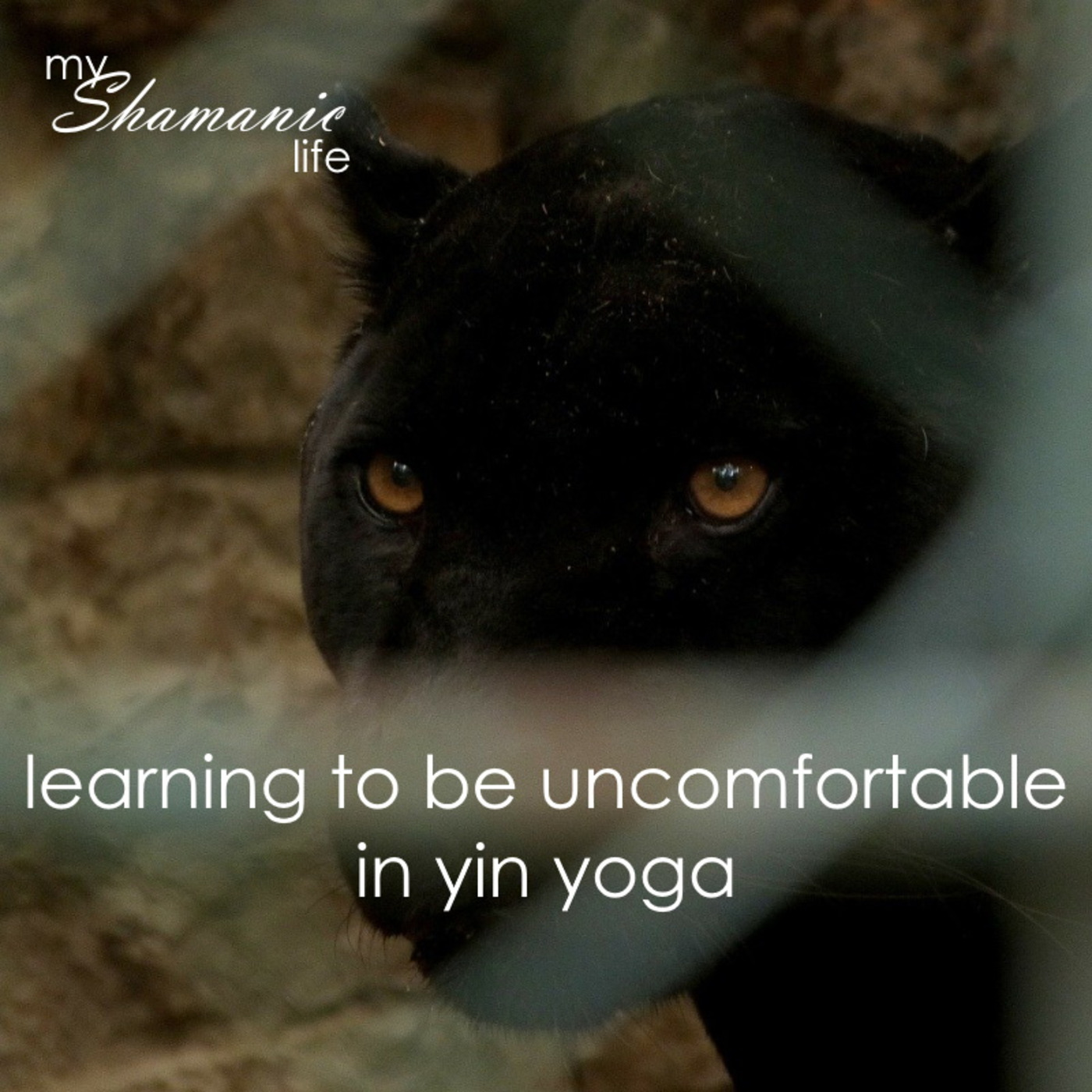 My Shamanic Life with Debbie Philp