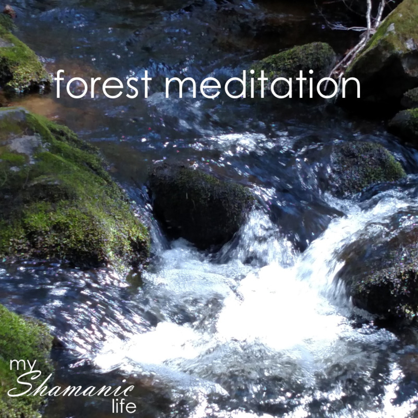 My Shamanic Life with Debbie Philp