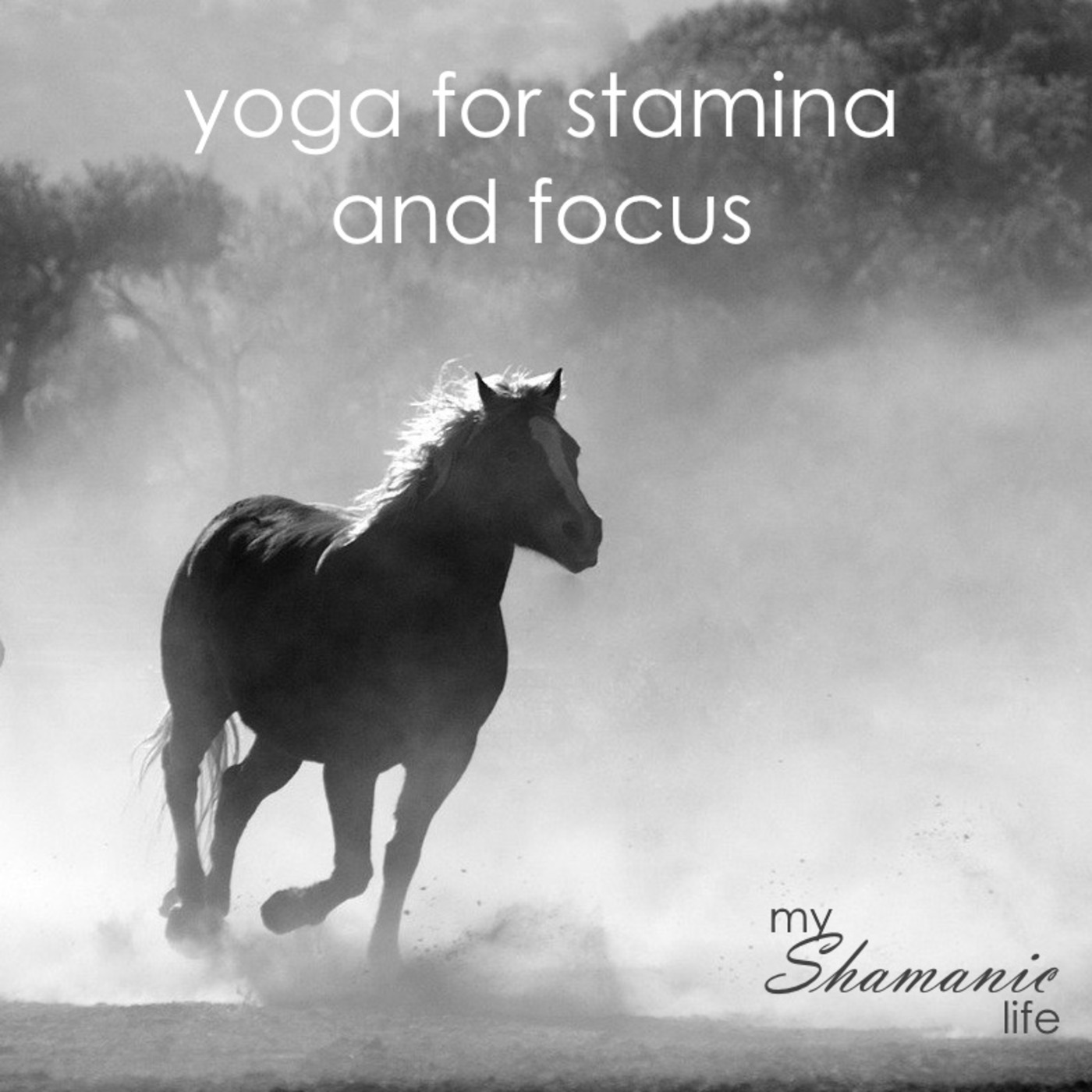 My Shamanic Life with Debbie Philp