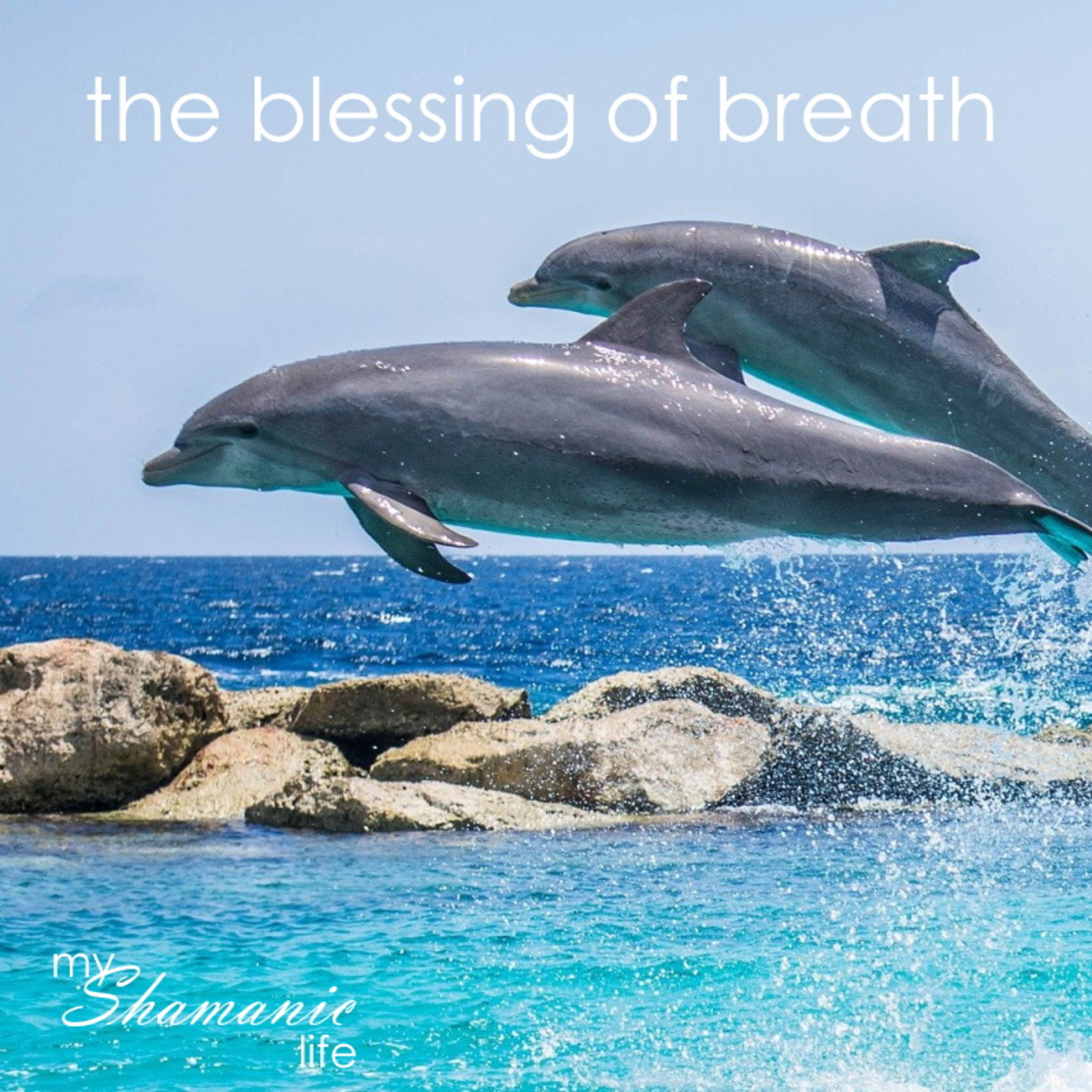 My Shamanic Life with Debbie Philp