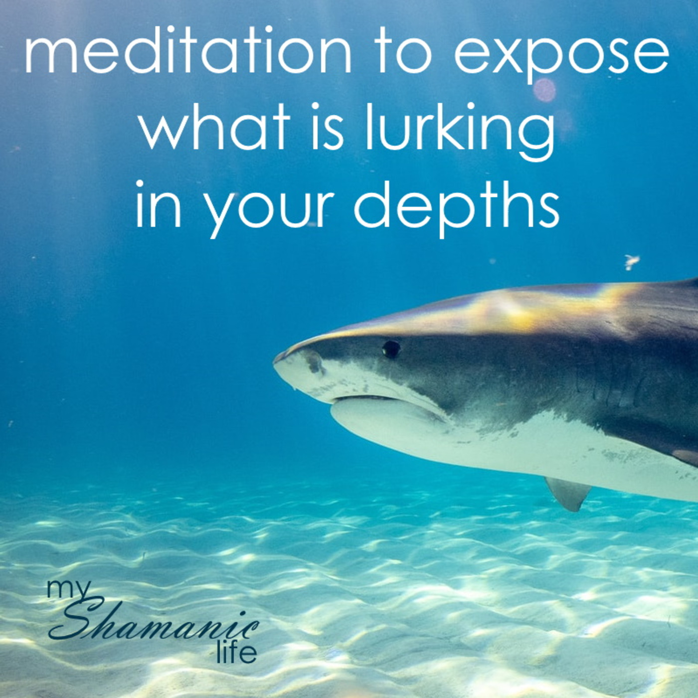My Shamanic Life with Debbie Philp